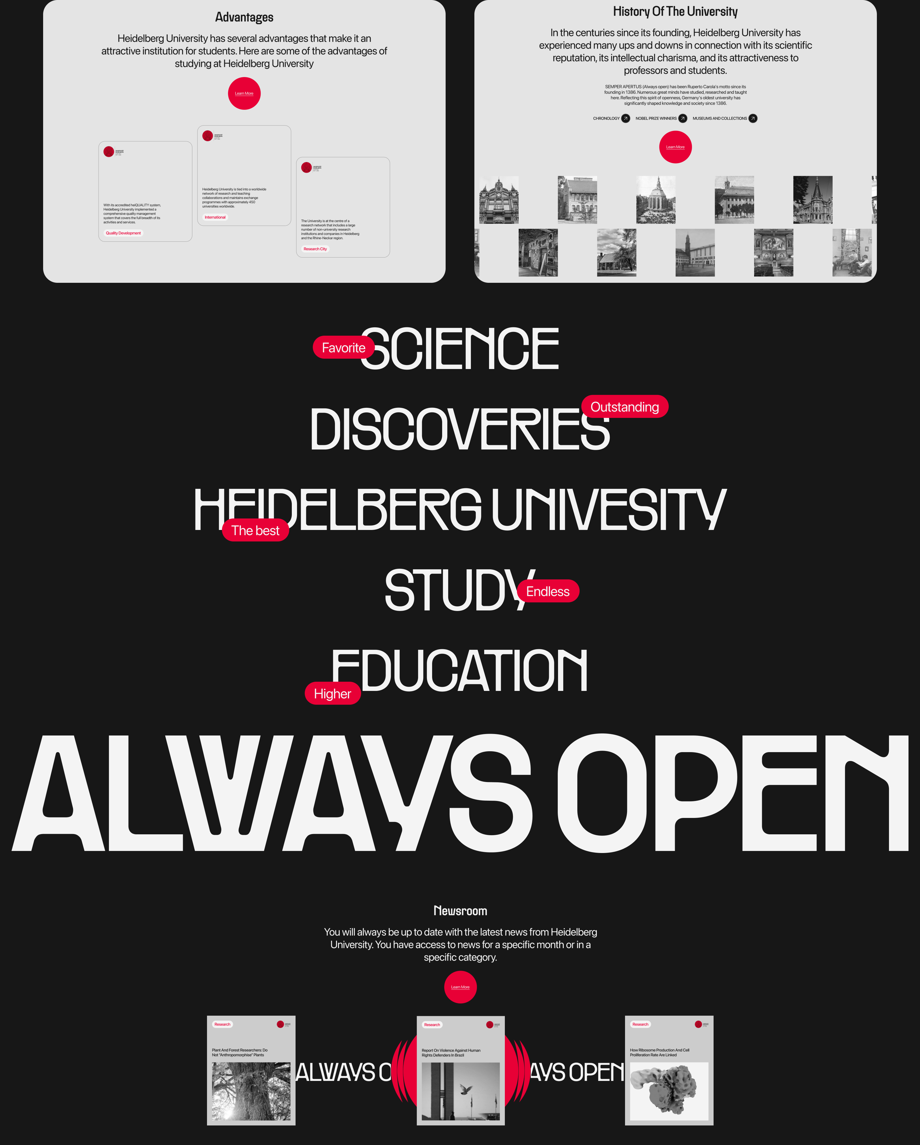 Heidelberg University | Redesign concept — Изображение №12 — Интерфейсы на Dprofile