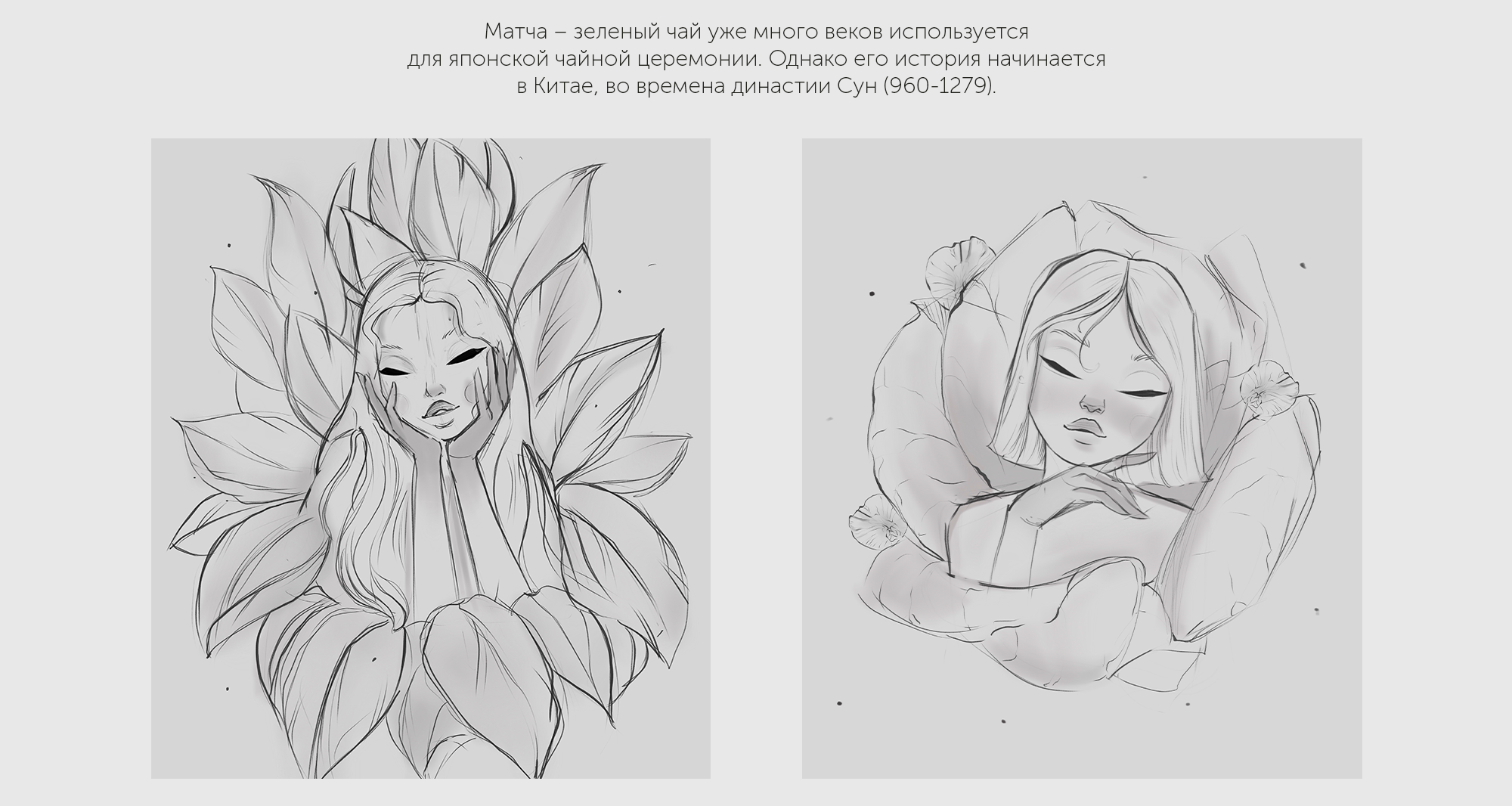 Разработка упаковки для зеленого чая Матча. — Изображение №2 — Брендинг, Иллюстрация на Dprofile