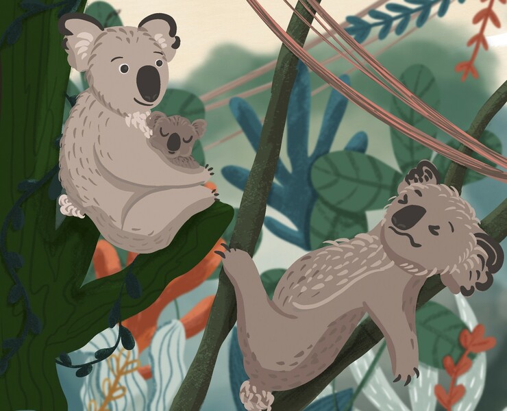 Children's illustration. Coala's Family. — Иллюстрация на Dprofile