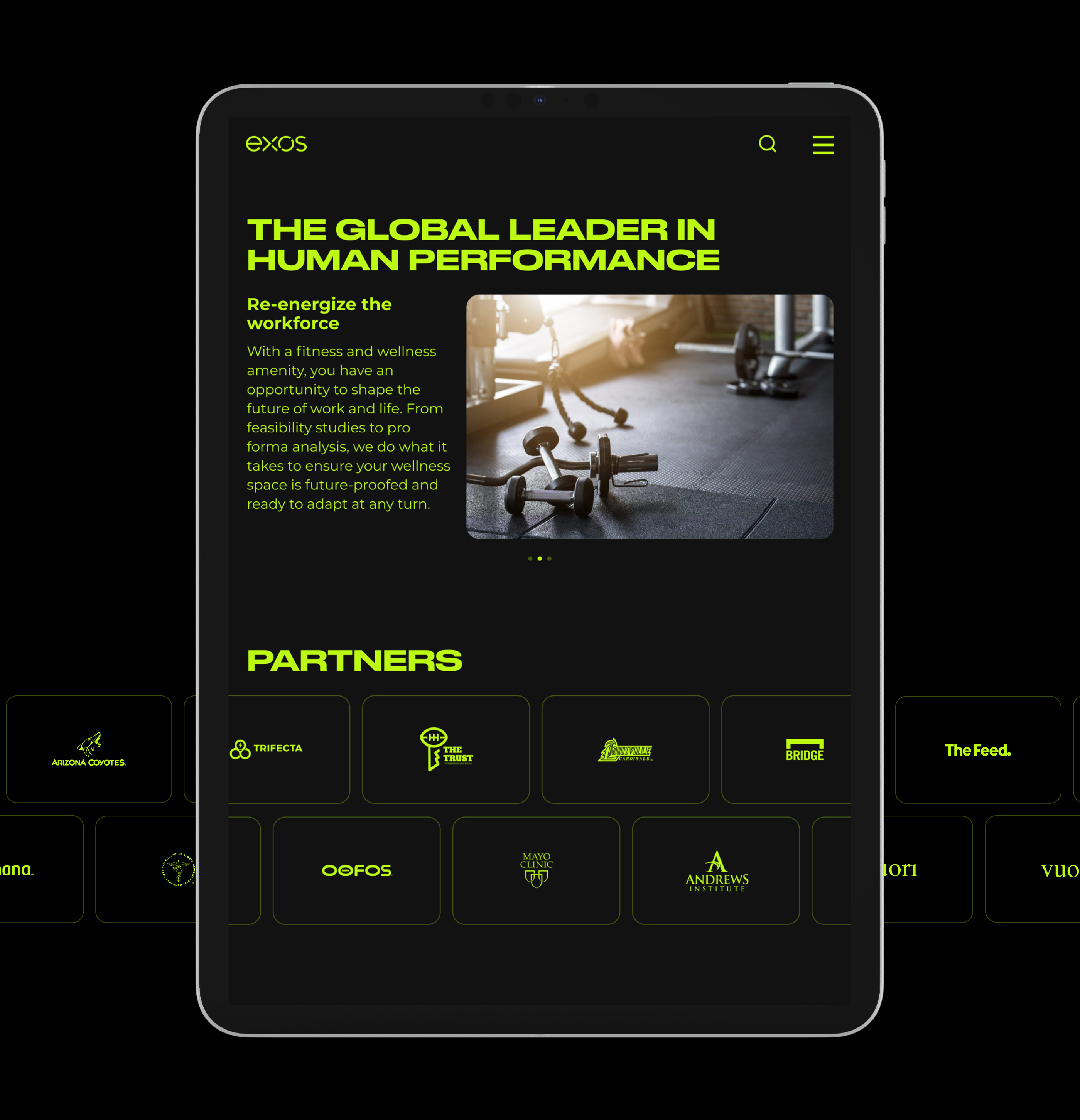 EXOS | Landing page — Изображение №6 — Брендинг на Dprofile