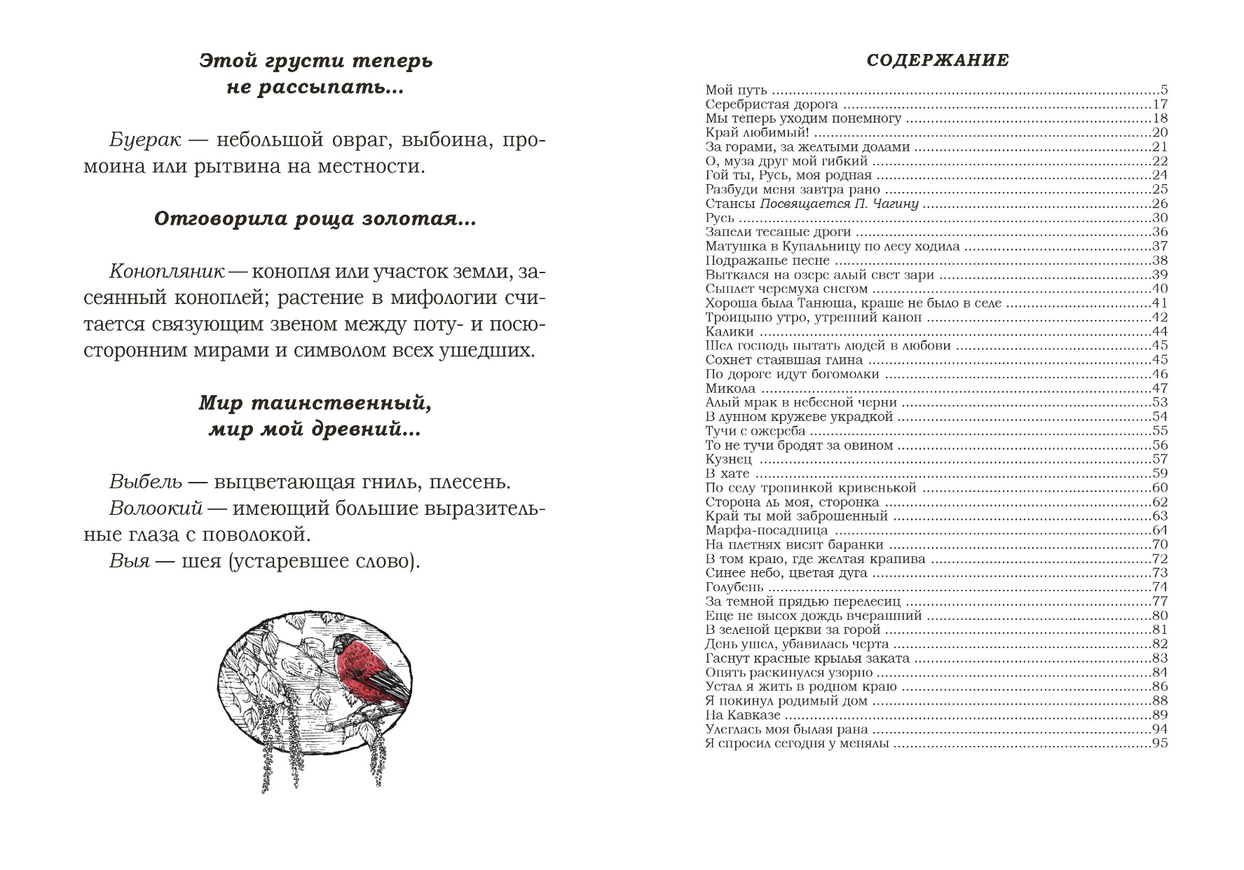 Оформление подарочного сборника стихов С. А. Есенина — Изображение №33 — Графика на Dprofile