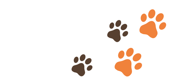 Happy Pets — Изображение №8 — Брендинг, Графика на Dprofile