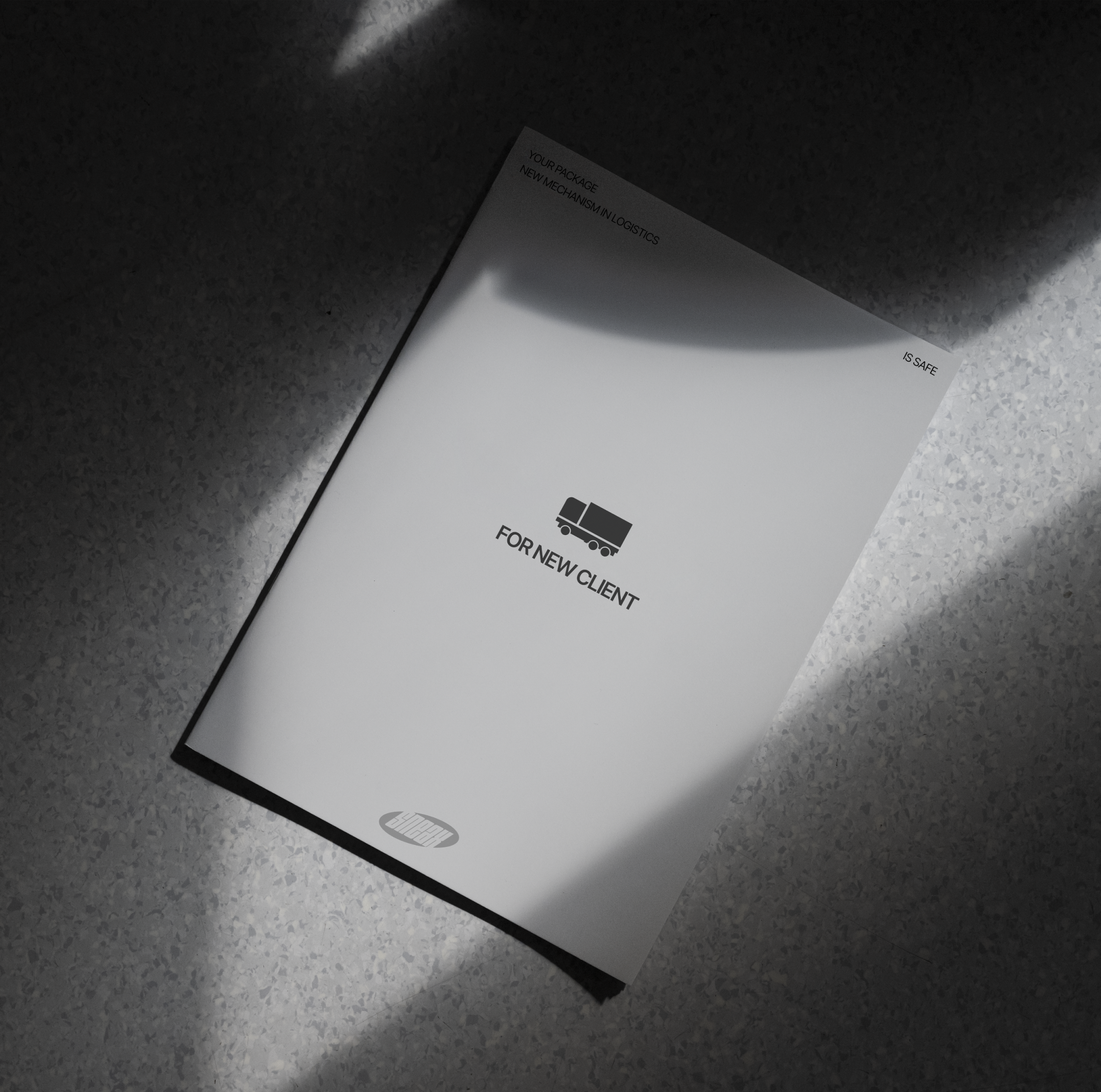 Sneax — Изображение №15 — Интерфейсы, Брендинг на Dprofile