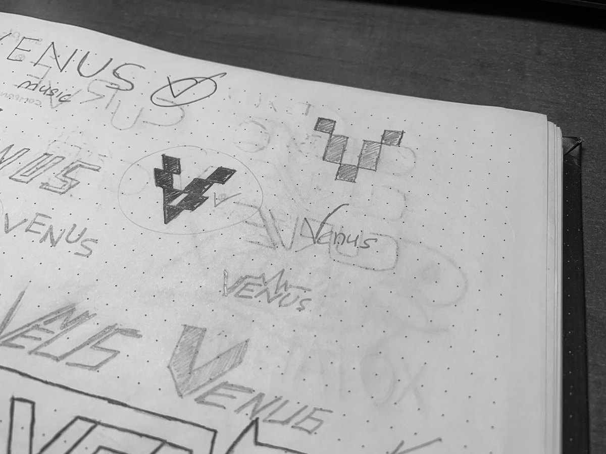 VENUS logo design — Изображение №3 — Брендинг, Графика на Dprofile