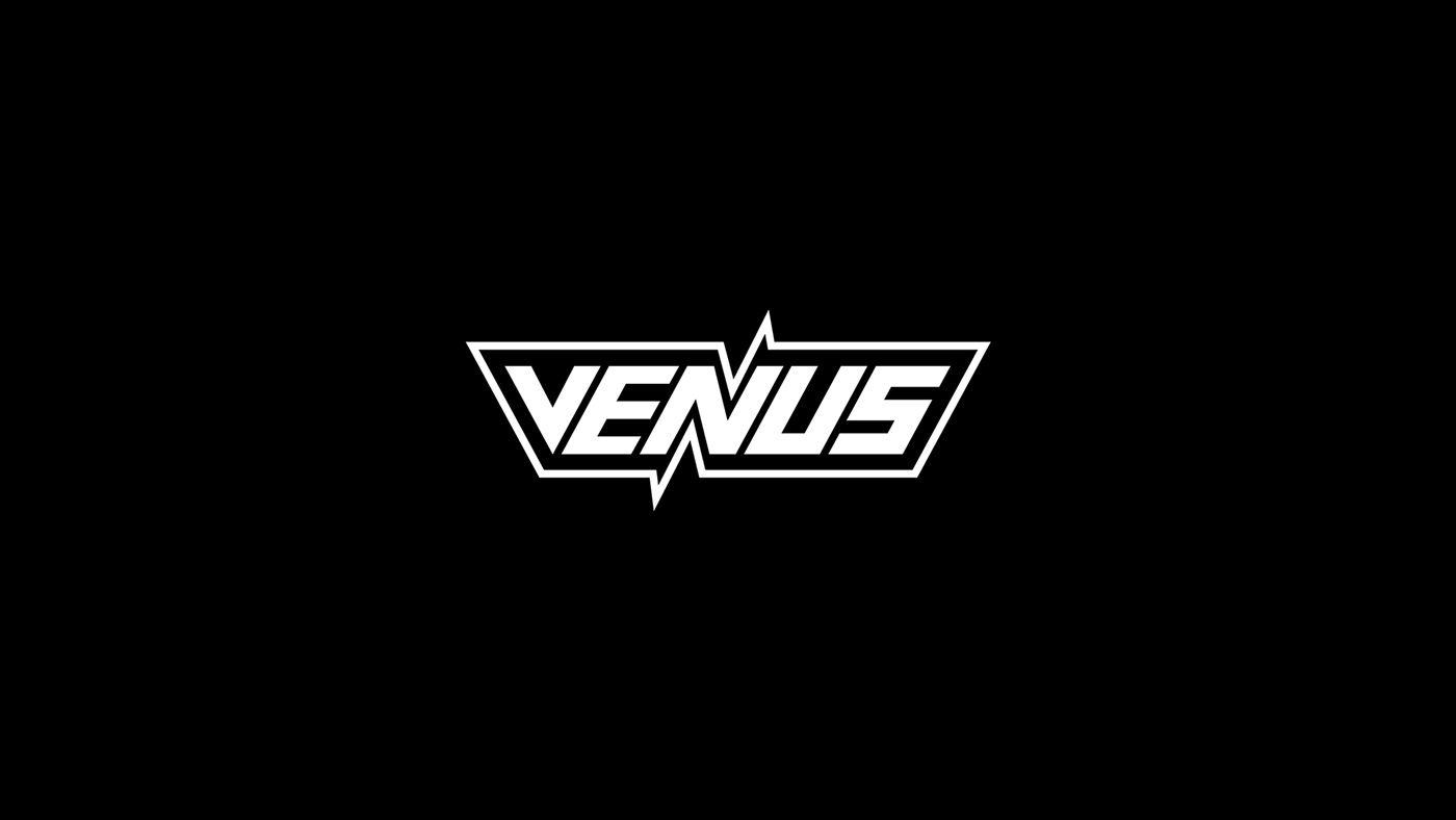 VENUS logo design — Изображение №10 — Брендинг, Графика на Dprofile