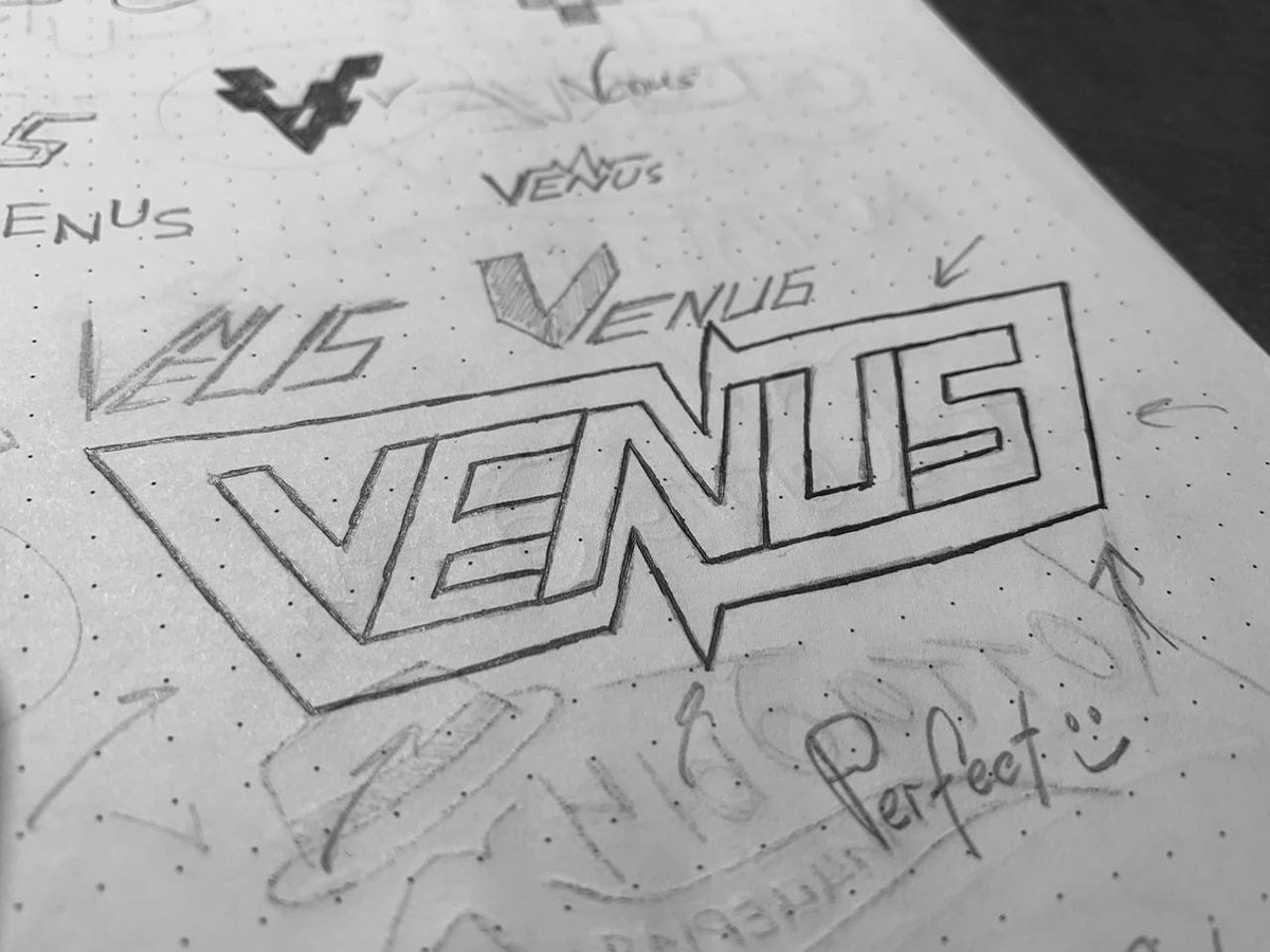 VENUS logo design — Изображение №4 — Брендинг, Графика на Dprofile