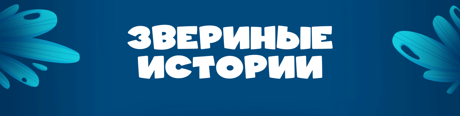 Настольная игра «Звериные истории» — Изображение №7 — Иллюстрация, Графика на Dprofile