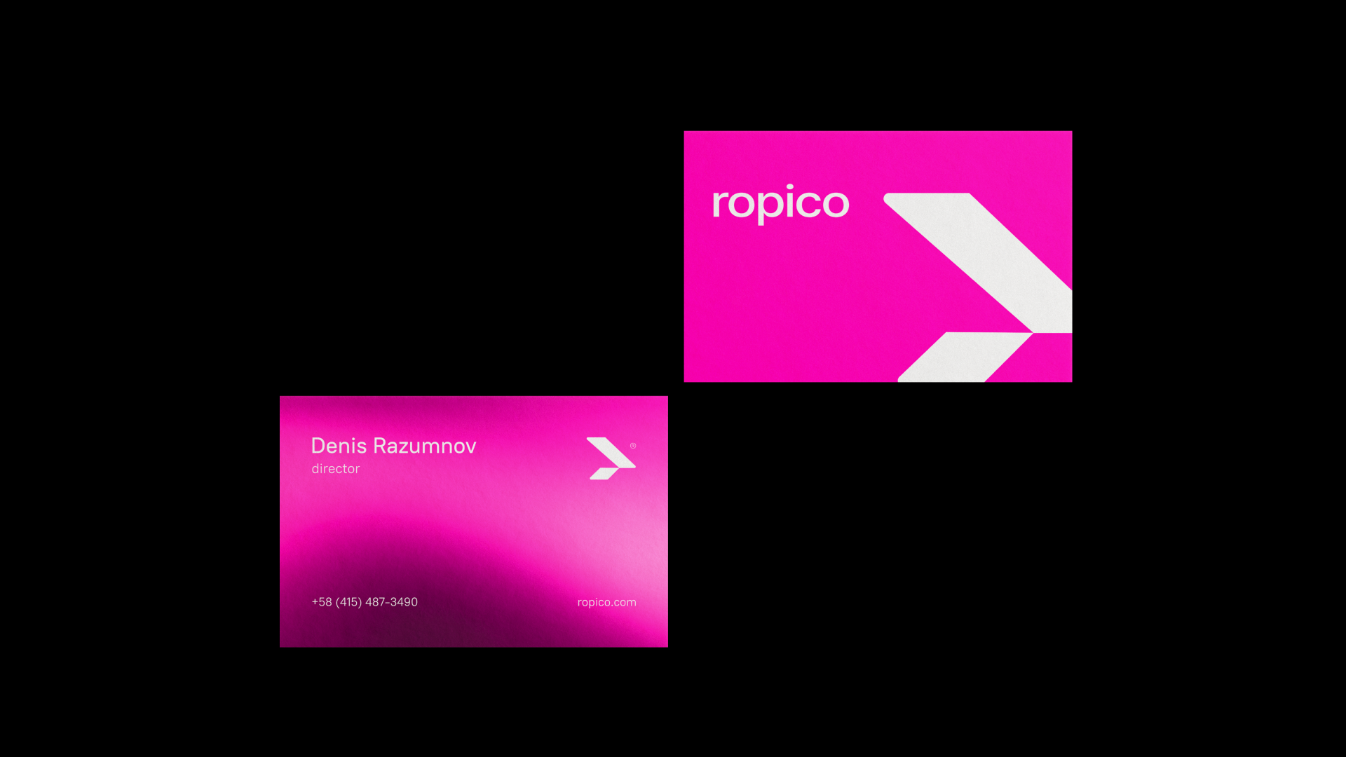 Ropico — Изображение №5 — Брендинг, Графика на Dprofile