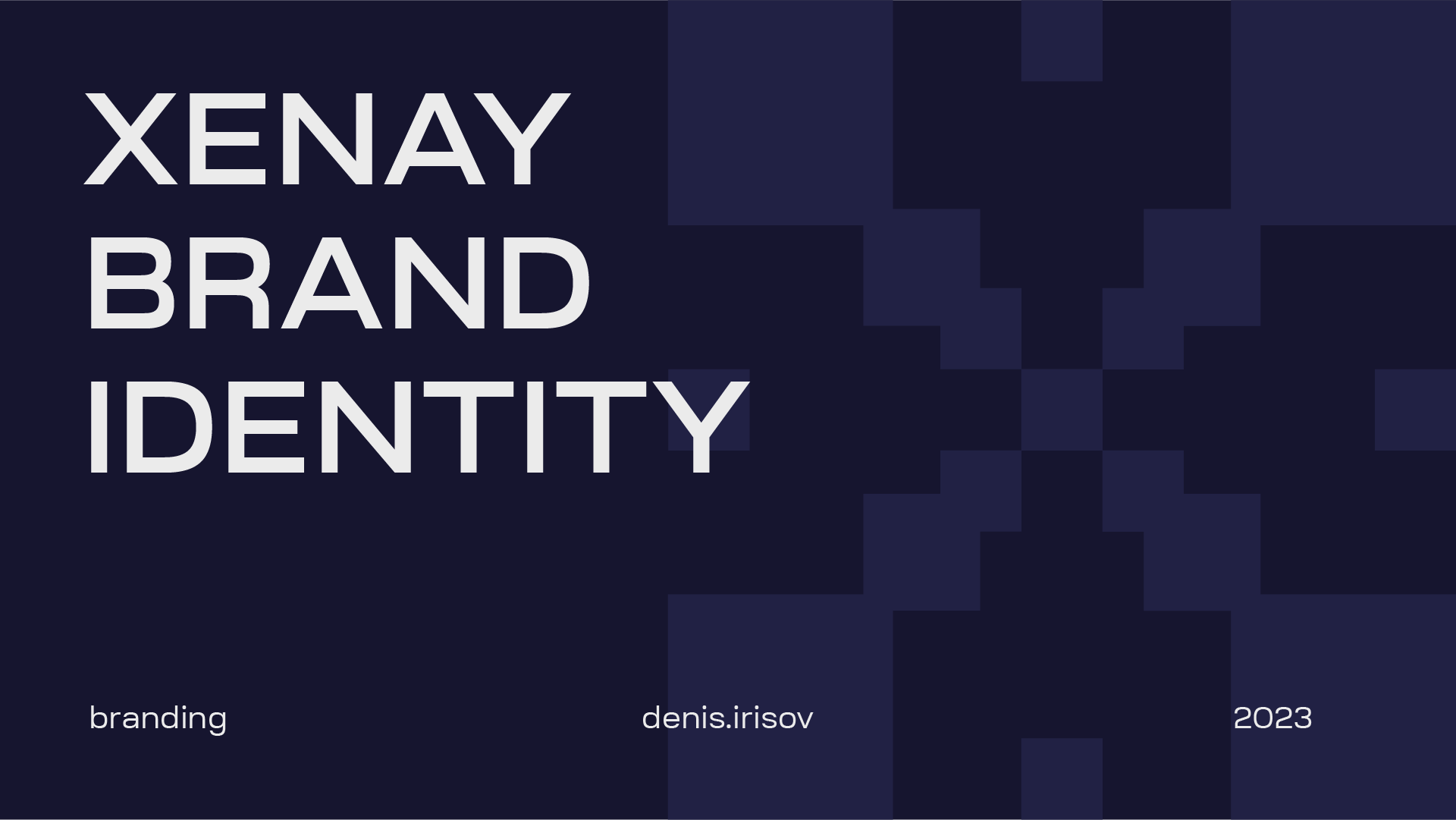 XENAY - Brand identity — Изображение №1 — Брендинг на Dprofile