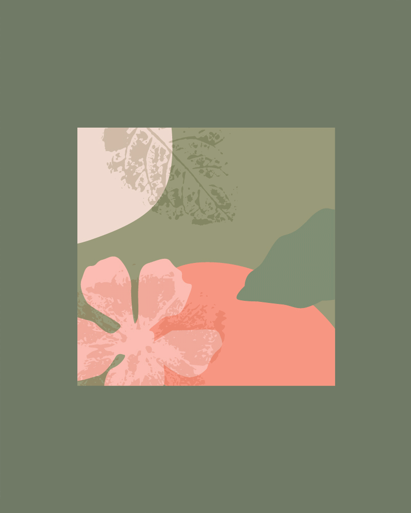 Hatova cosmetic / Brand Identity — Изображение №5 — Брендинг на Dprofile