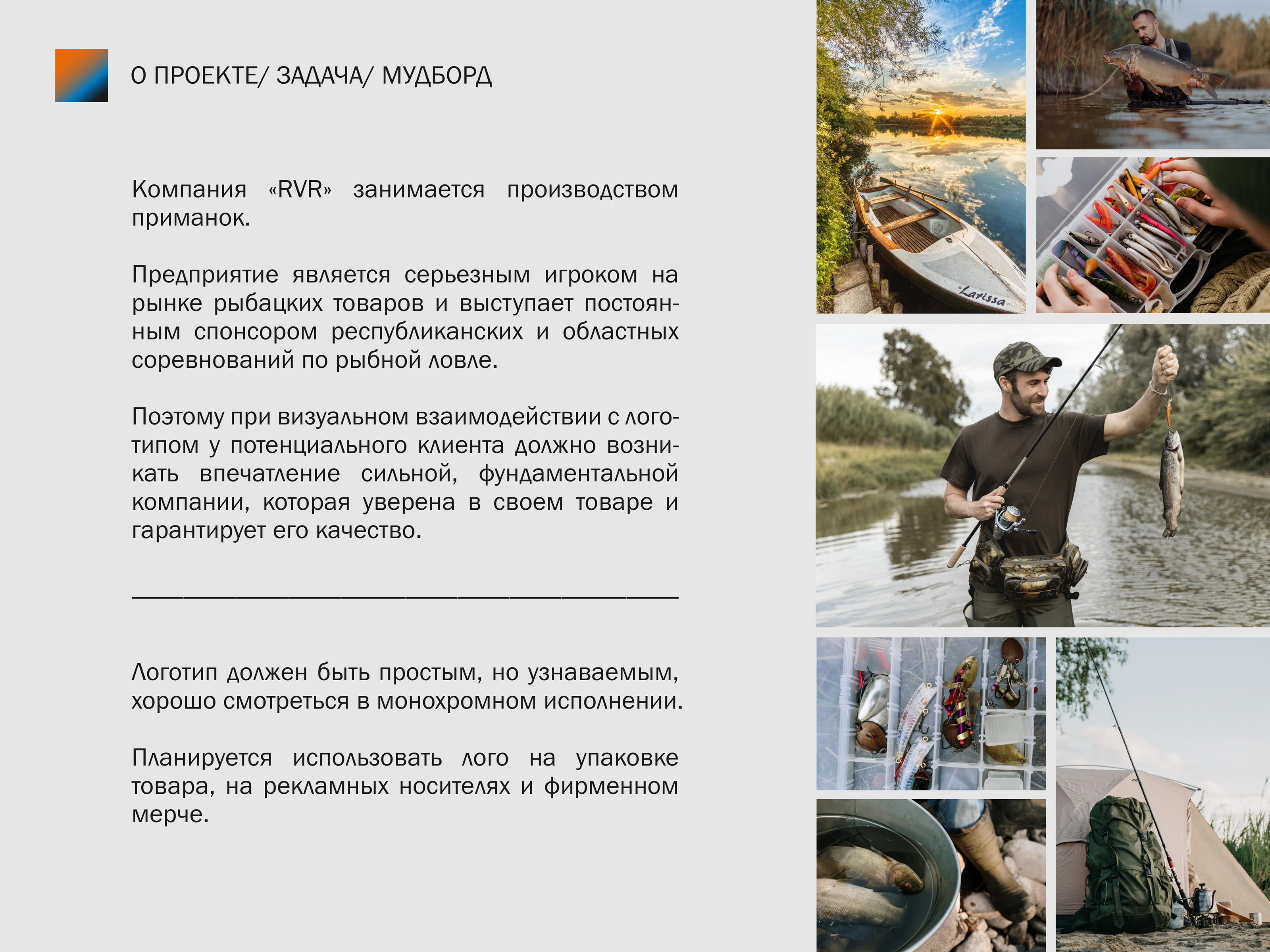 Logo/ branding/ логотип/ фирменный стиль — Изображение №1 — Брендинг, Графика на Dprofile