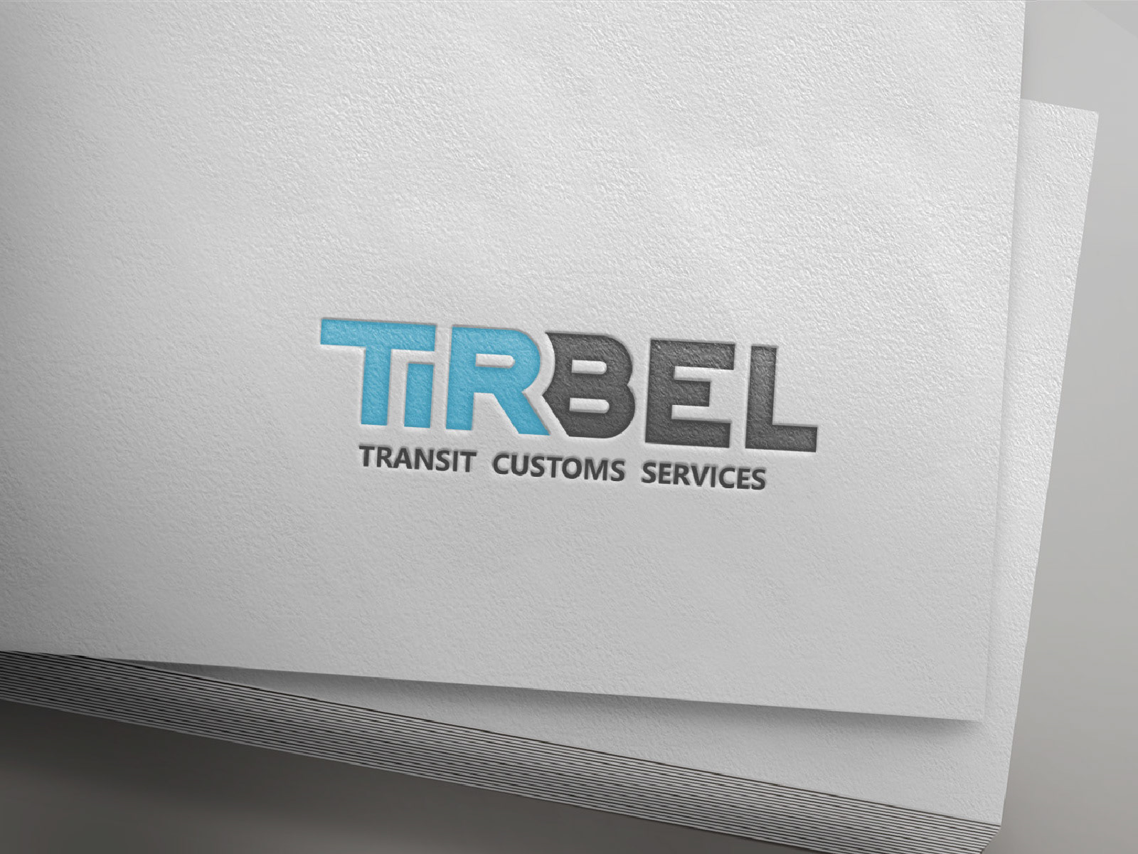 Customs/ logo/ branding. Логотип/ фирменный стиль — Изображение №2 — Брендинг, Графика на Dprofile