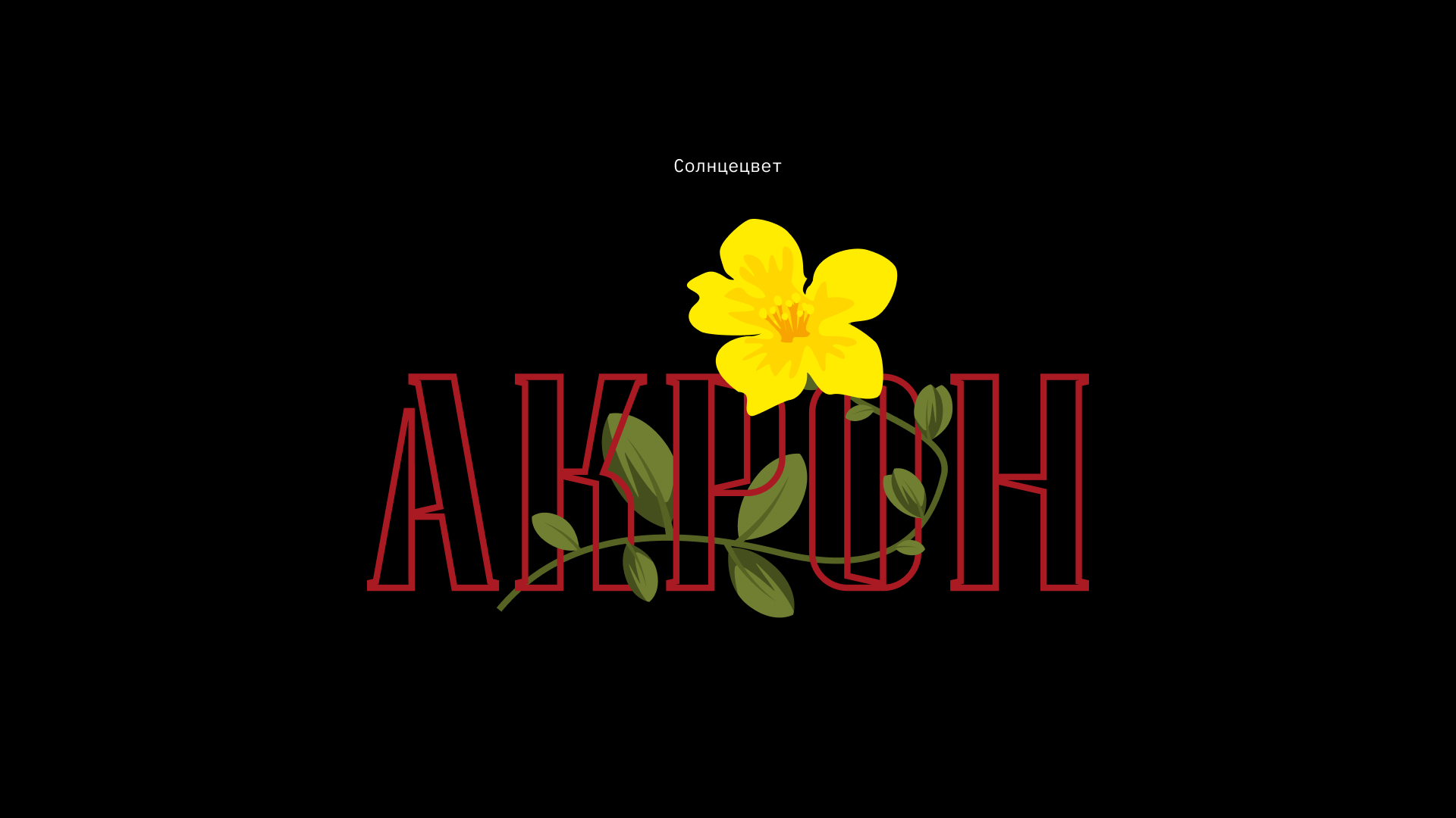 Акрон – мерч Гербарий — Изображение №6 — Брендинг, Иллюстрация на Dprofile