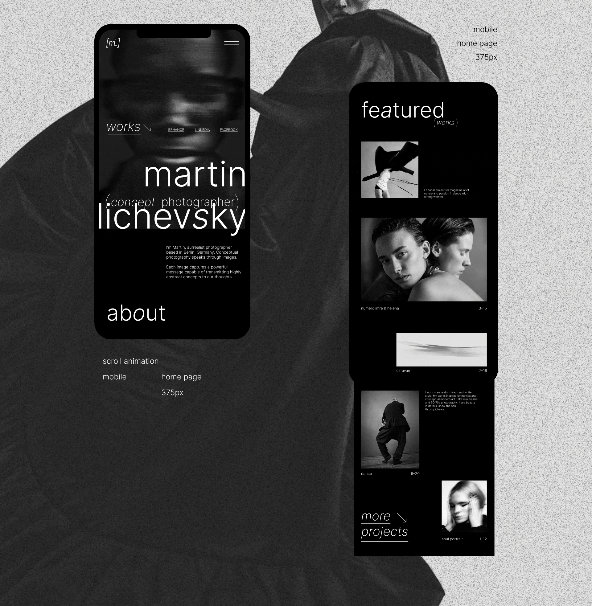 Веб-дизайн сайта фотографа — Изображение №10 — Интерфейсы, Анимация на Dprofile