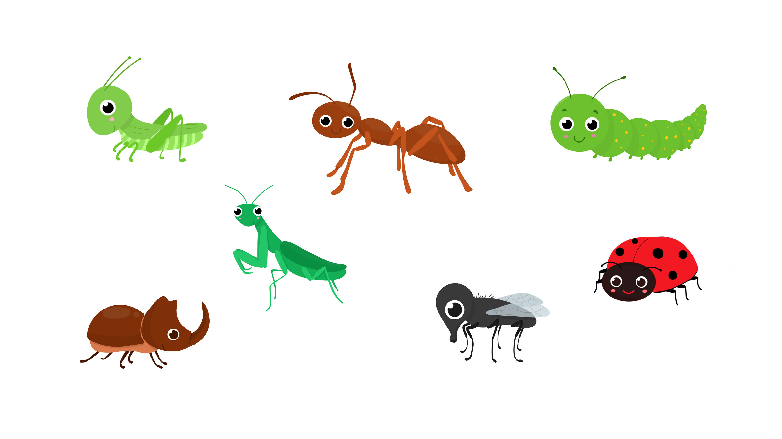 Memory game cards insects for kids — Изображение №3 — Иллюстрация на Dprofile