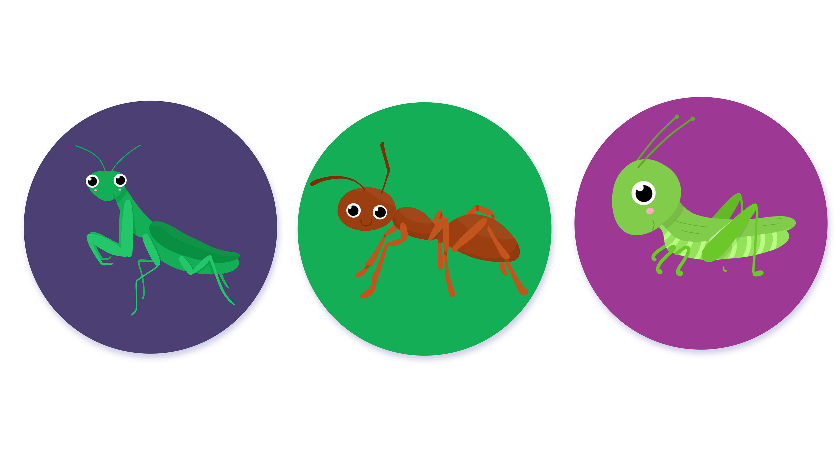 Memory game cards insects for kids — Изображение №5 — Иллюстрация на Dprofile