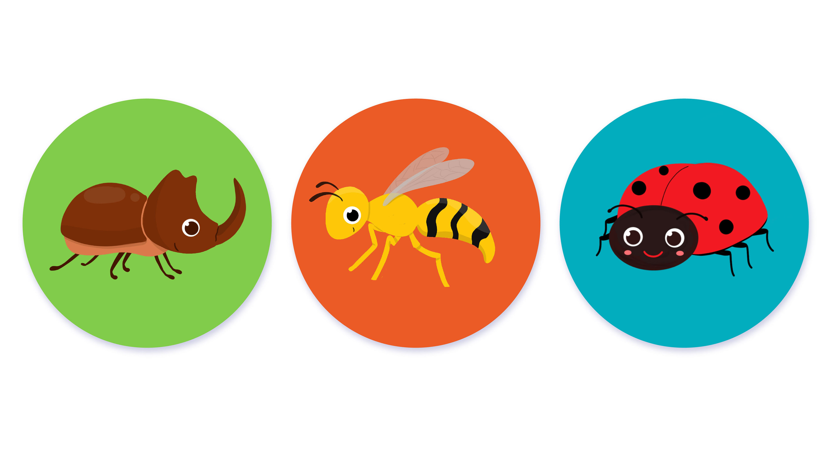 Memory game cards insects for kids — Изображение №4 — Иллюстрация на Dprofile