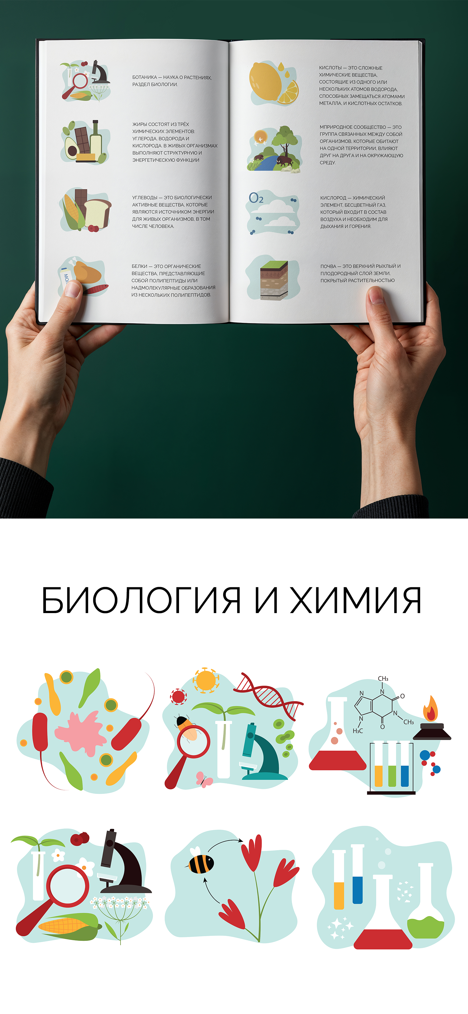 Иллюстрации для детского словаря — Изображение №4 — Иллюстрация, Графика на Dprofile