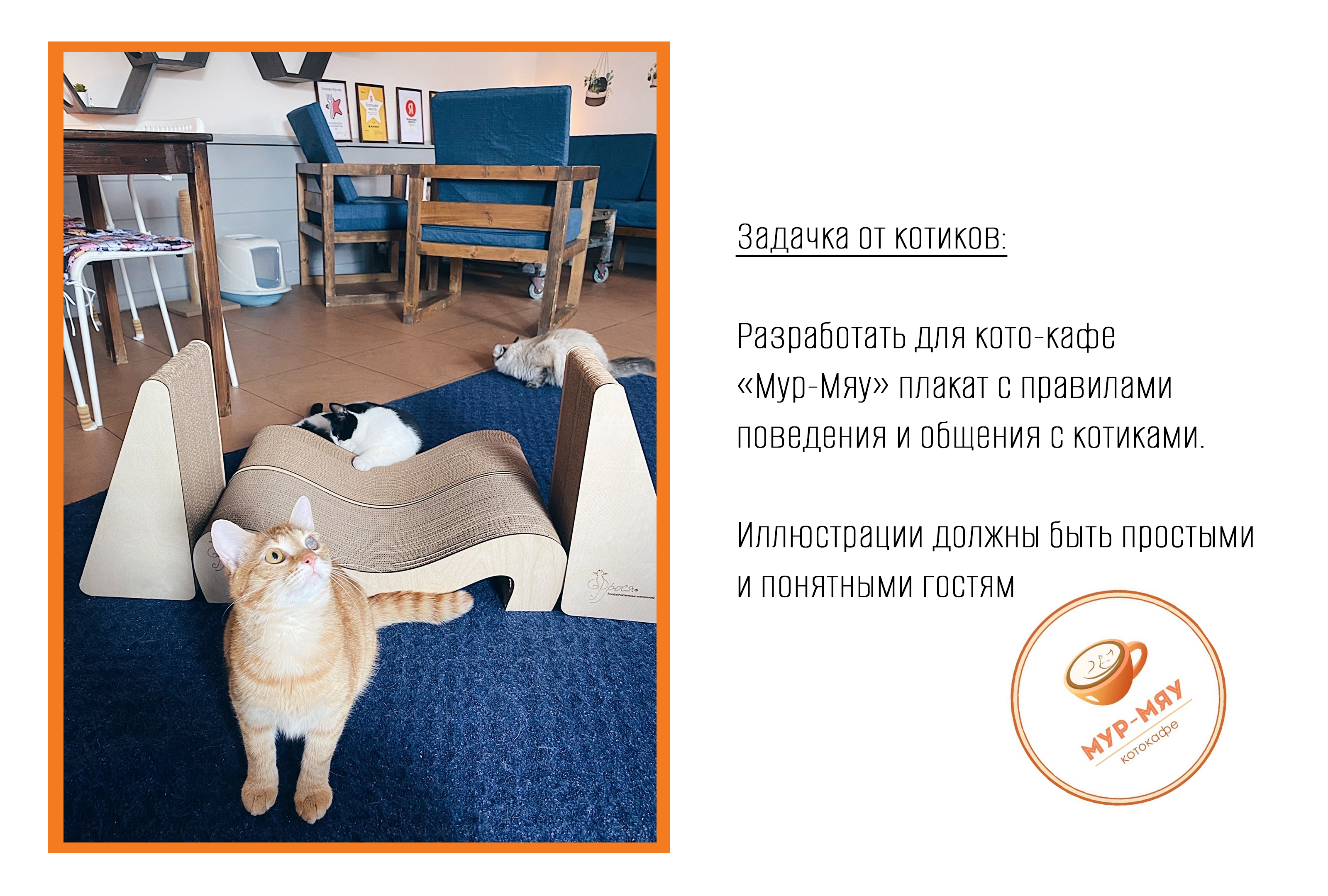 Плакат с правилами поведения для кото-кафе — Изображение №1 — Иллюстрация, Графика на Dprofile