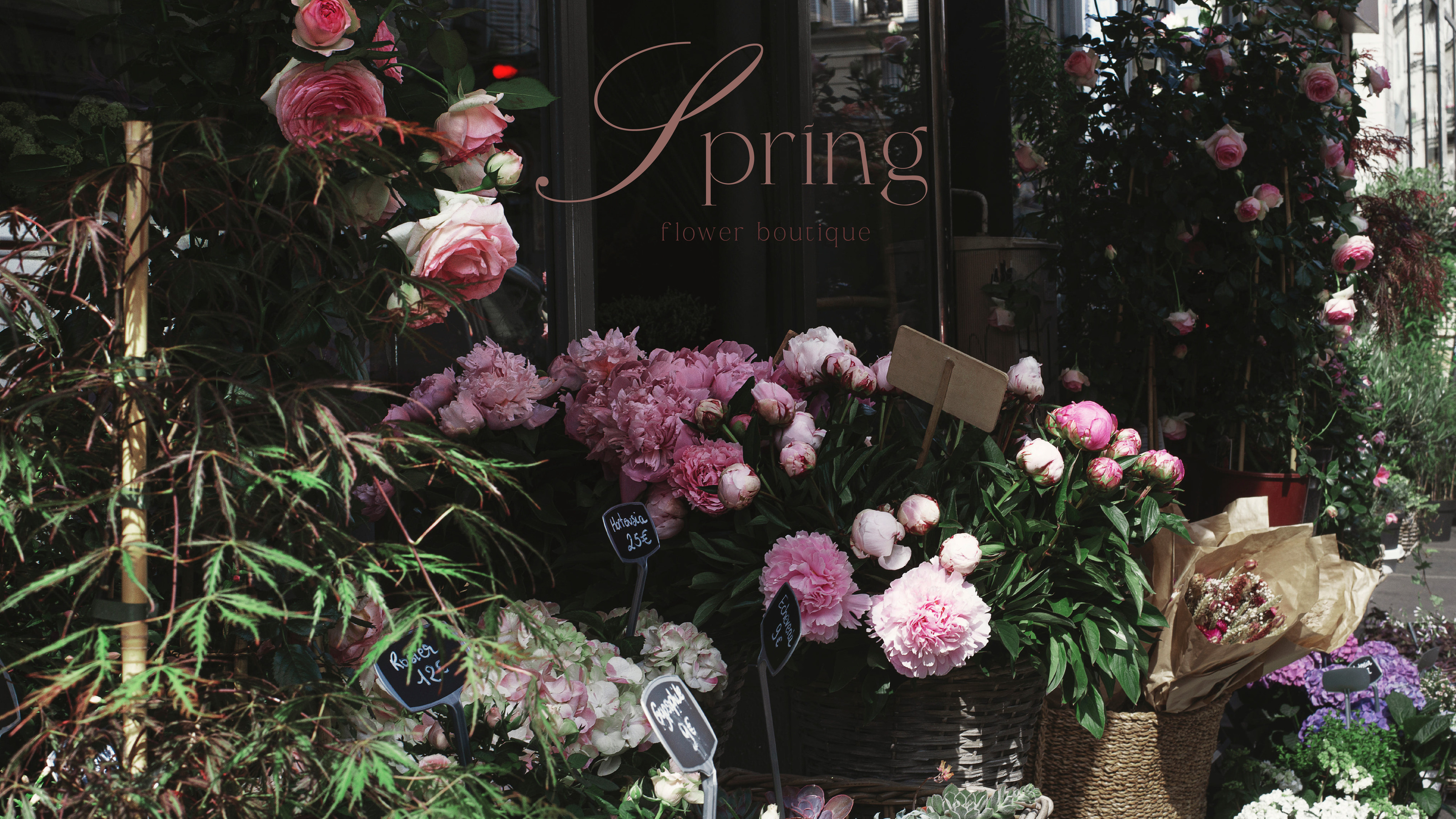 SPRING | ЦВЕТОЧНЫЙ БУТИК — Изображение №1 — Брендинг, Графика на Dprofile