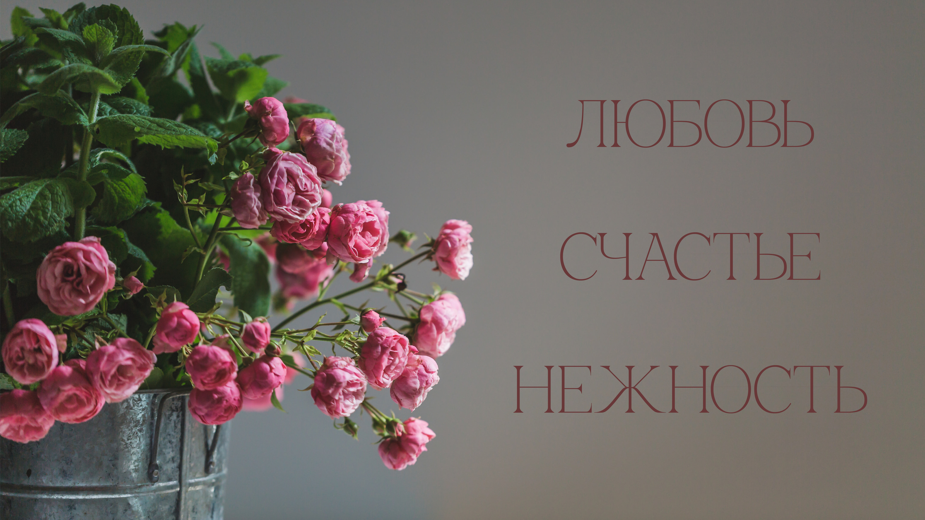SPRING | ЦВЕТОЧНЫЙ БУТИК — Изображение №6 — Брендинг, Графика на Dprofile
