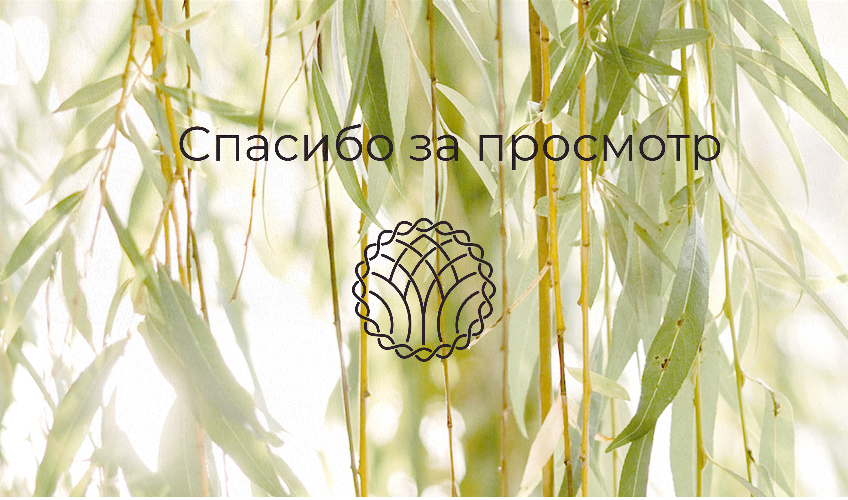 Логотип для мастерской плетения из ивовой лозы — Изображение №8 — Брендинг, Графика на Dprofile