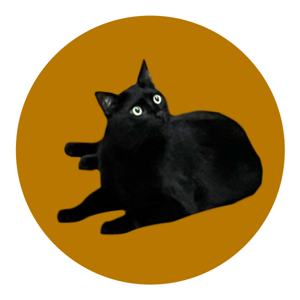 Буквы-котуквы для котуквицы — Изображение №17 — Иллюстрация, Графика на Dprofile