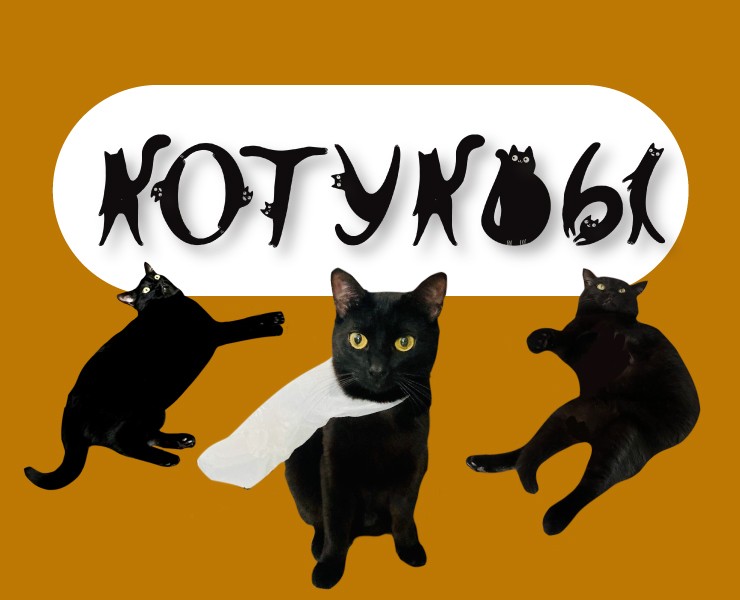 Буквы-котуквы для котуквицы — Иллюстрация, Графика на Dprofile