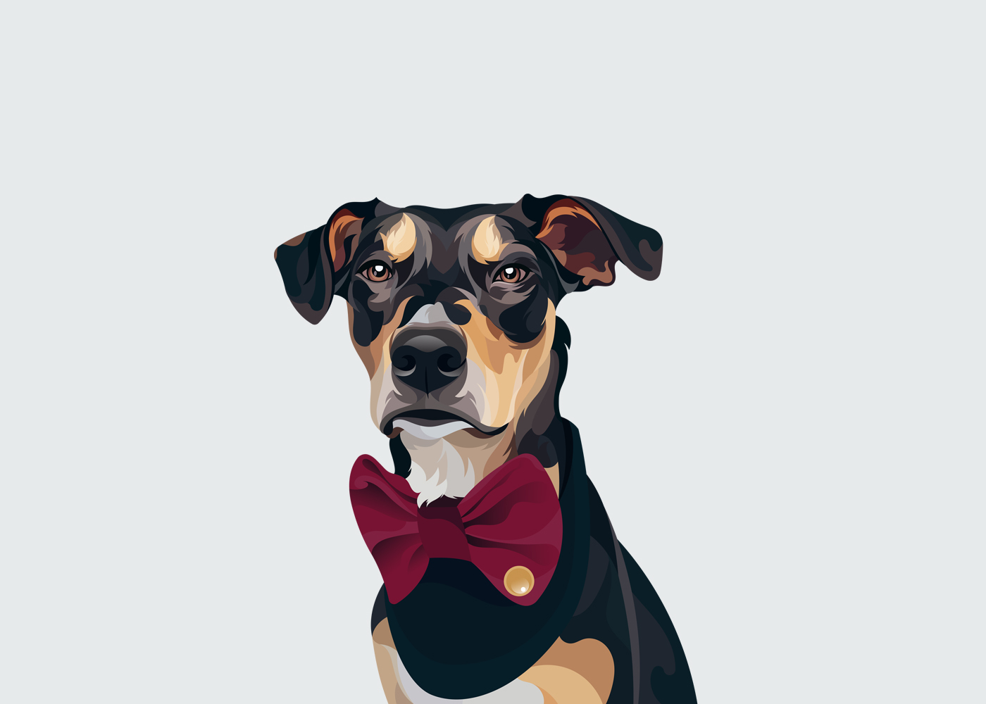 Векторная иллюстрация | Vector pet illustrations — Изображение №8 — Иллюстрация на Dprofile