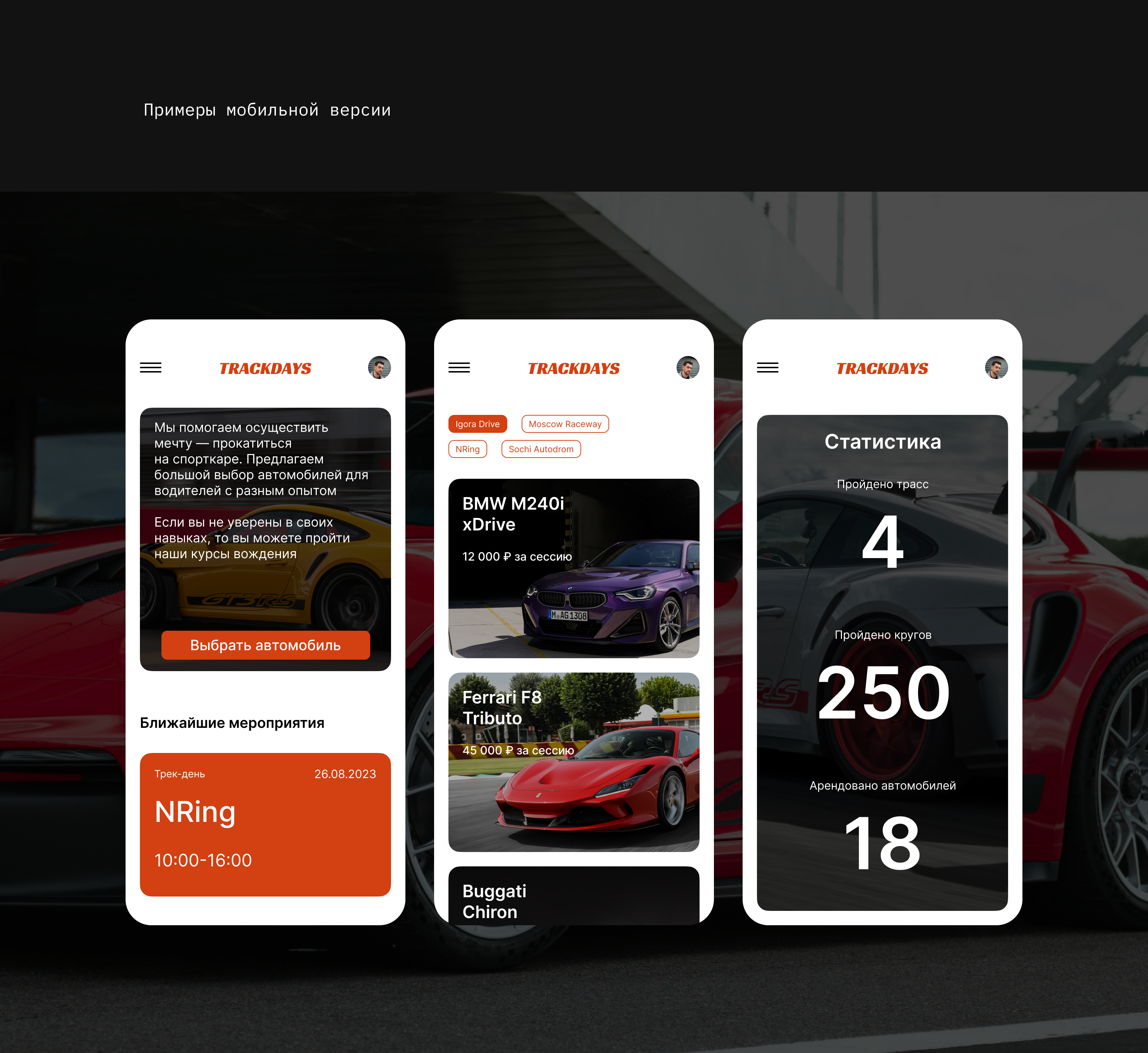 TRACKDAYS - Web design Concept — Изображение №16 — Интерфейсы на Dprofile