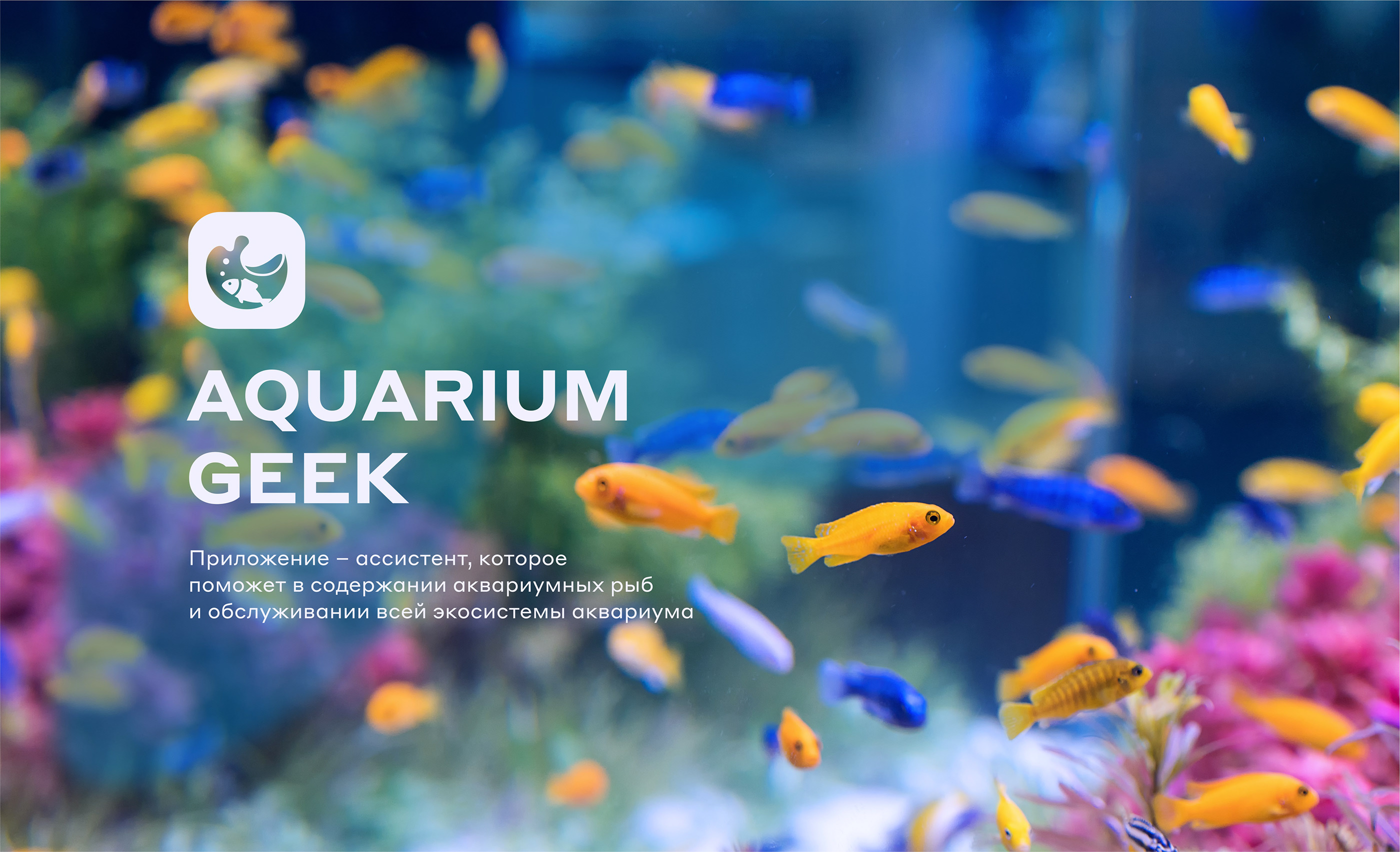 Aquarium Geek — Mobile App concept / Aquarium Assistant — Изображение №2 — Интерфейсы, Графика на Dprofile