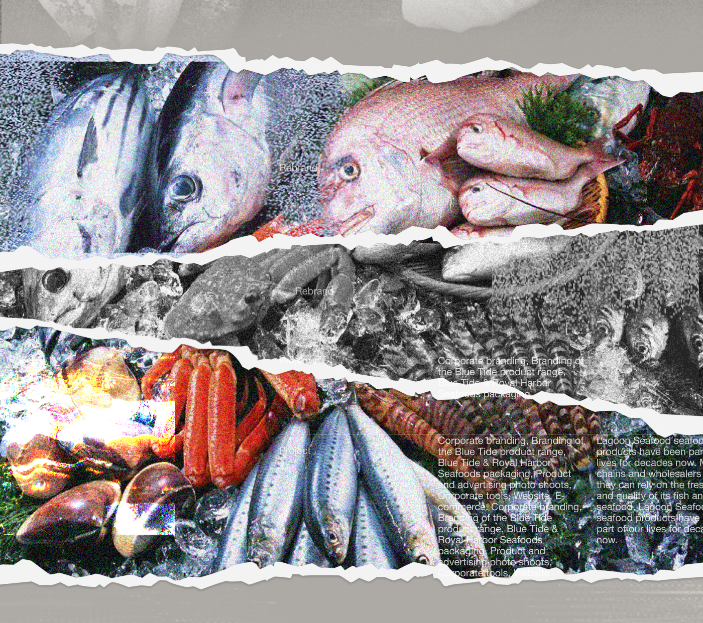 Редизайн сайта агенства — Изображение №7 — Интерфейсы на Dprofile