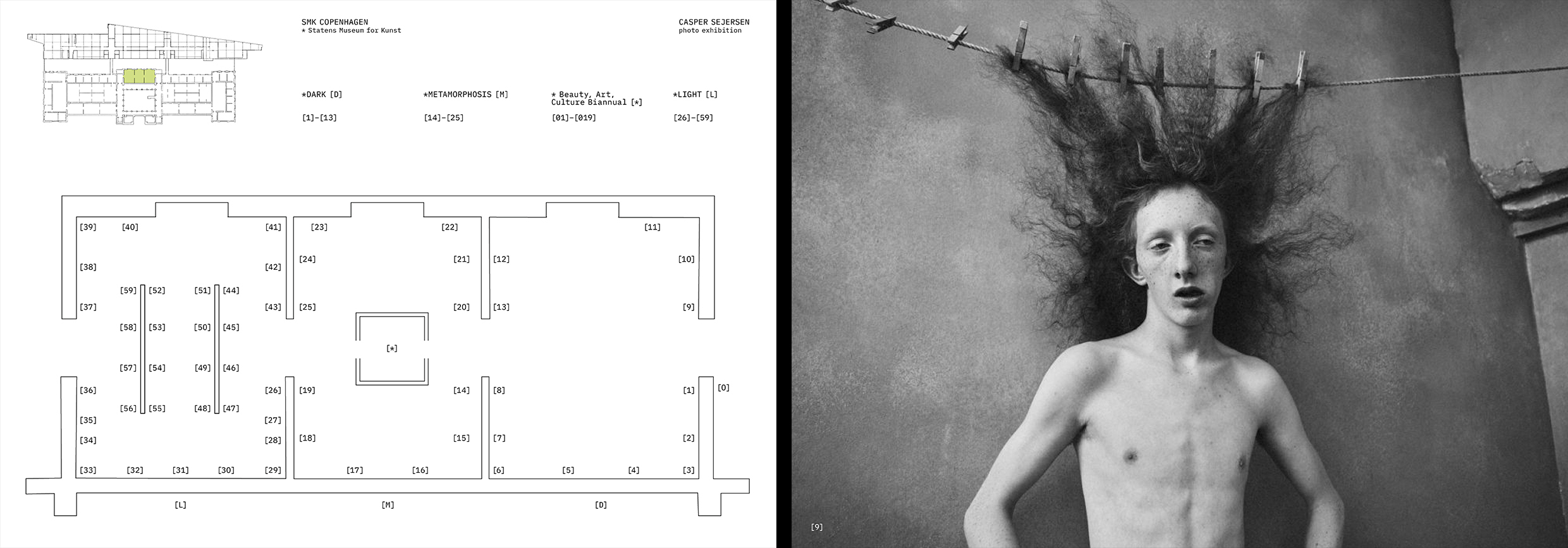 *METAMORPHOSIS. Каталог выставки Каспера Сейерсена — Изображение №2 — Графика на Dprofile