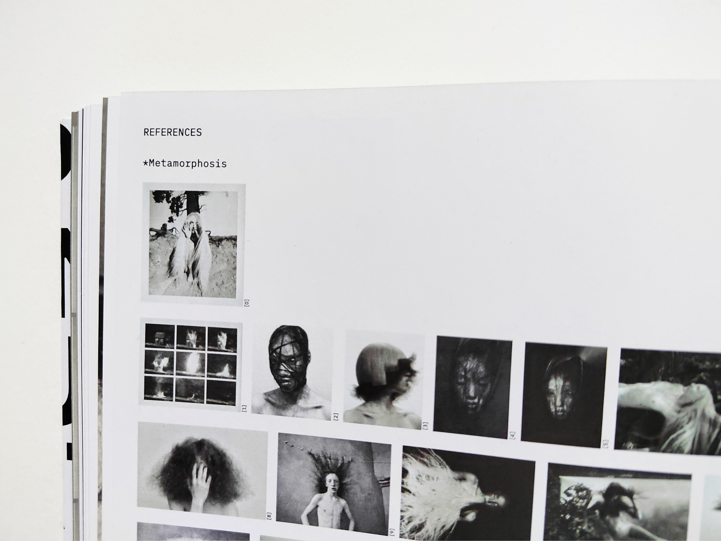 *METAMORPHOSIS. Каталог выставки Каспера Сейерсена — Изображение №50 — Графика на Dprofile