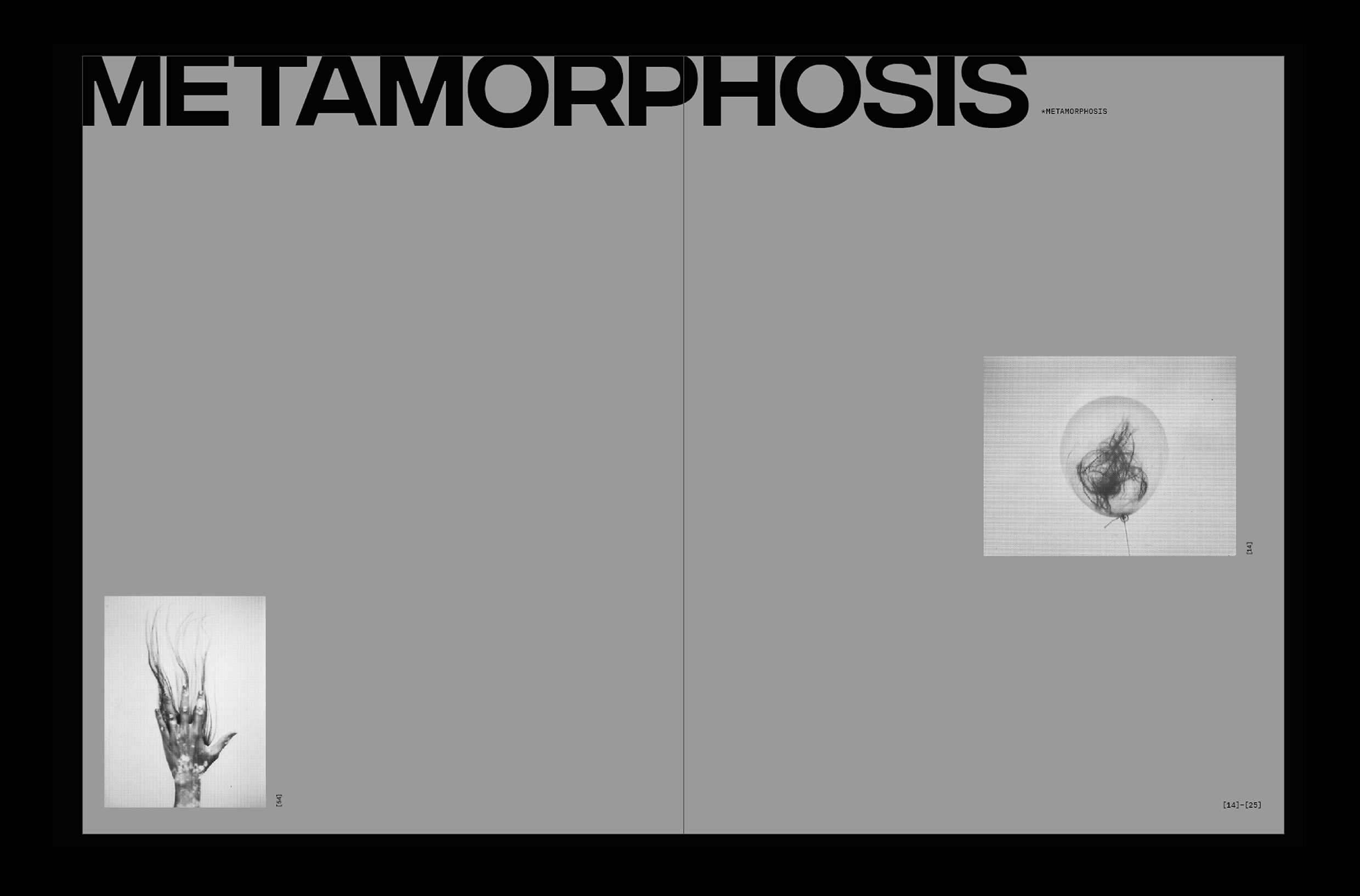*METAMORPHOSIS. Каталог выставки Каспера Сейерсена — Изображение №20 — Графика на Dprofile