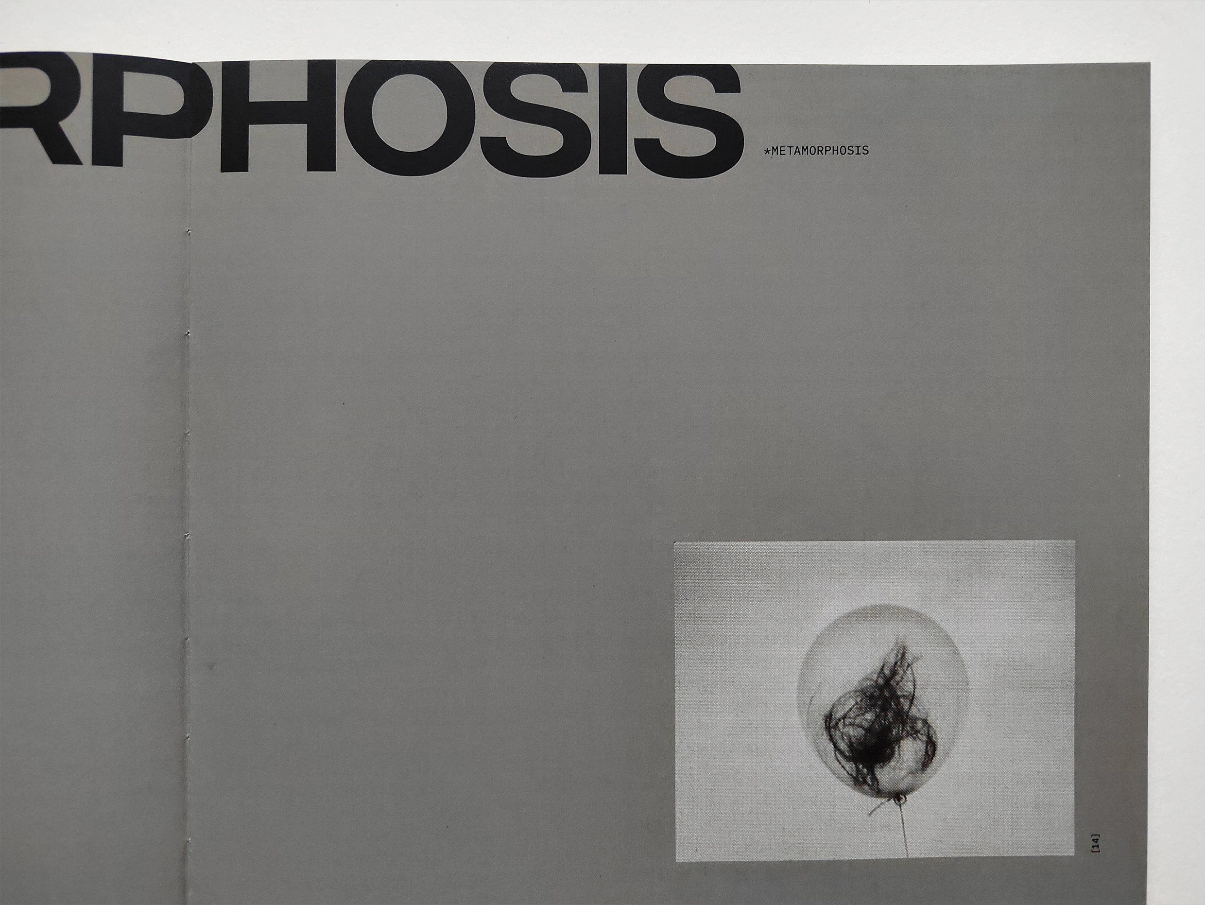 *METAMORPHOSIS. Каталог выставки Каспера Сейерсена — Изображение №21 — Графика на Dprofile