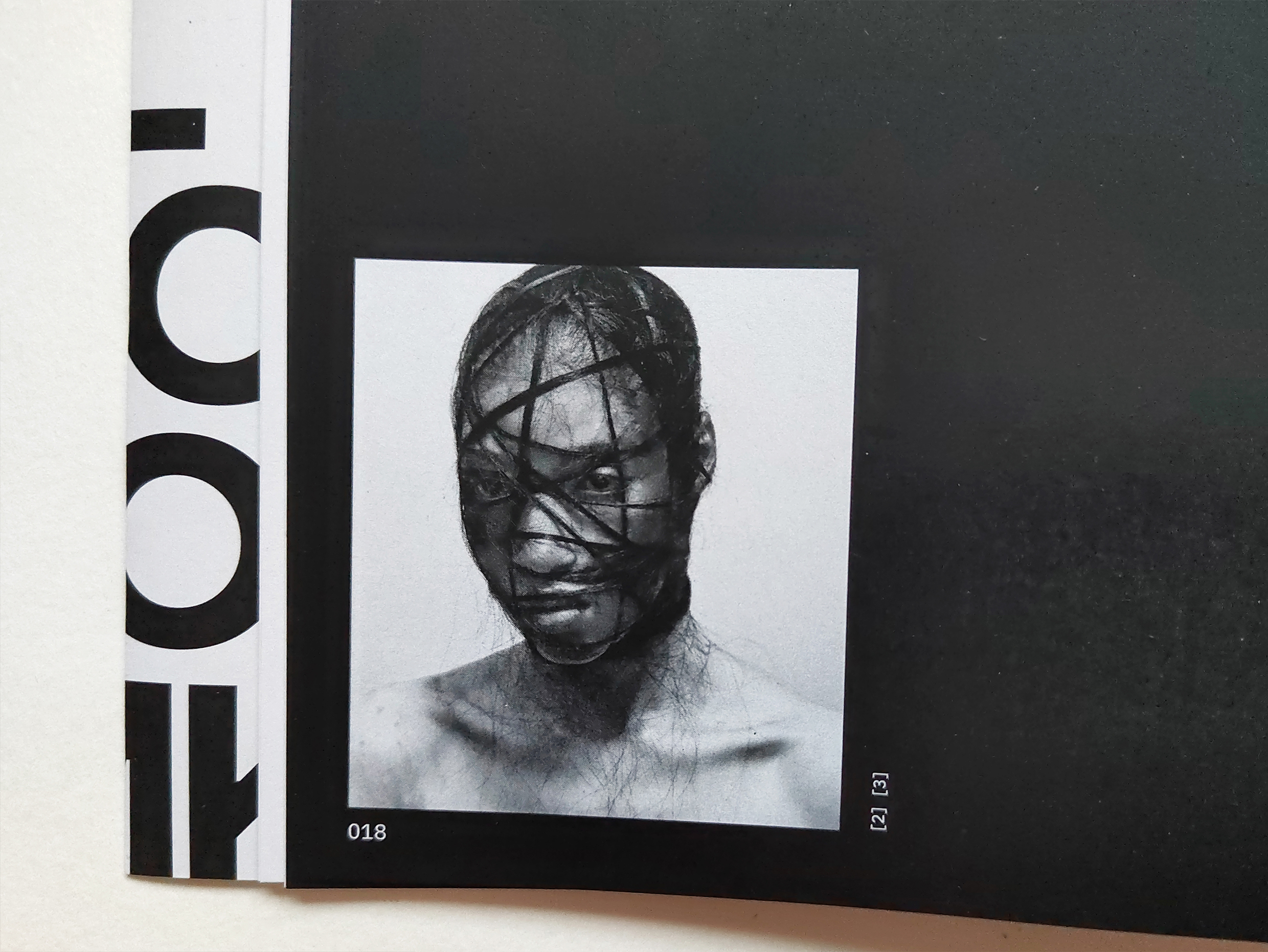 *METAMORPHOSIS. Каталог выставки Каспера Сейерсена — Изображение №15 — Графика на Dprofile