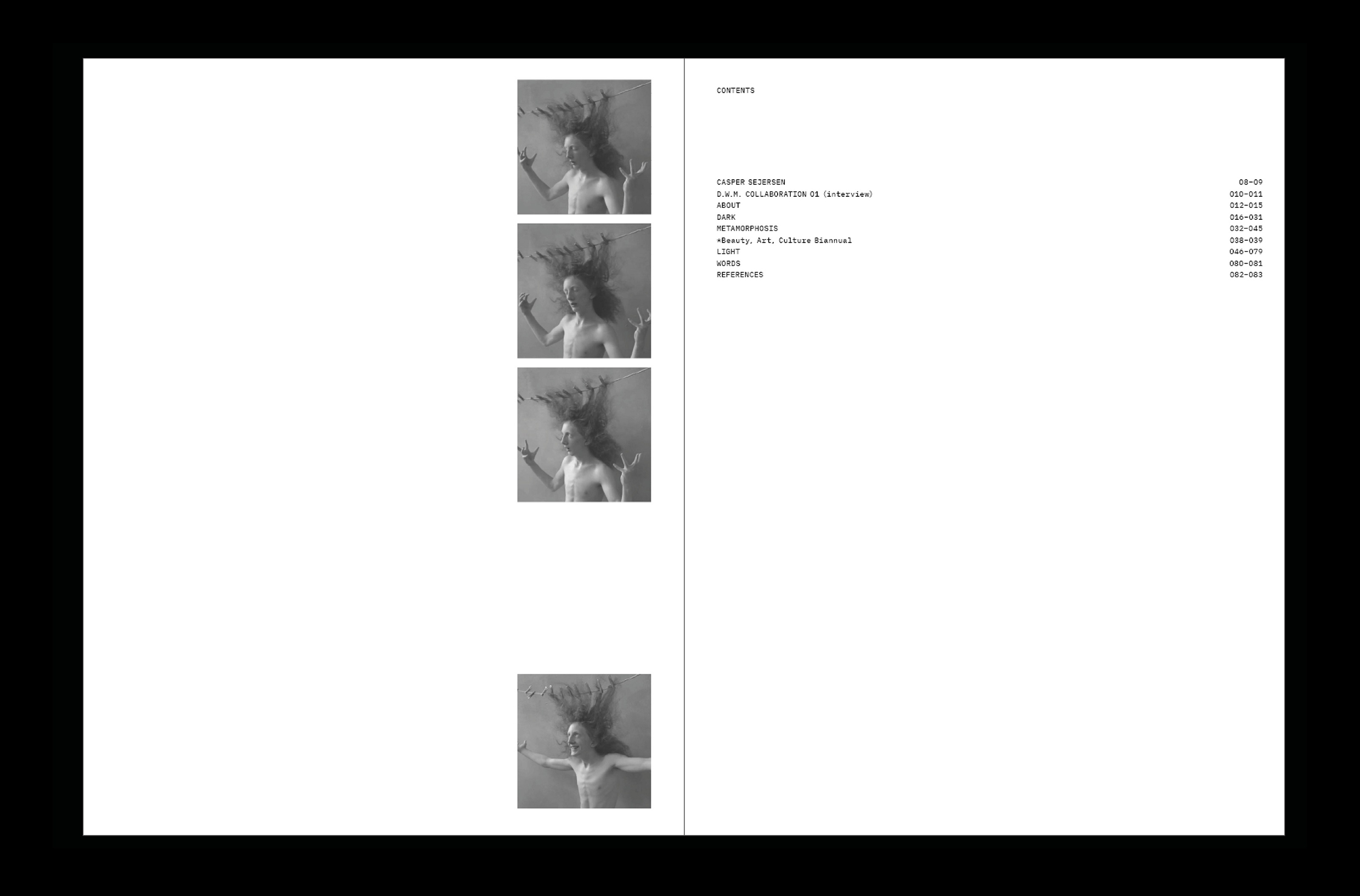 *METAMORPHOSIS. Каталог выставки Каспера Сейерсена — Изображение №9 — Графика на Dprofile