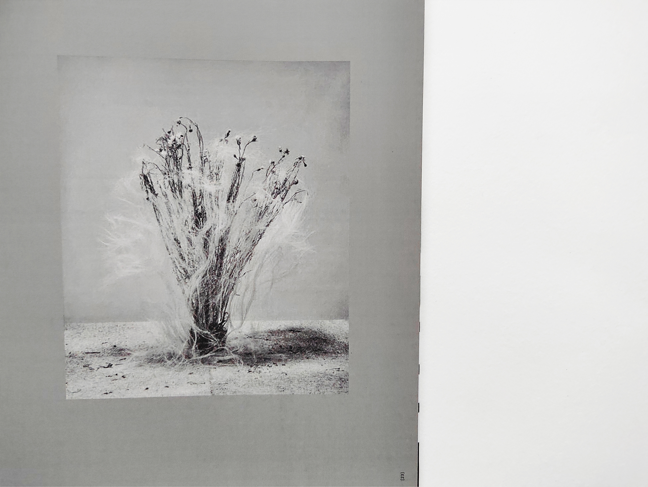 *METAMORPHOSIS. Каталог выставки Каспера Сейерсена — Изображение №35 — Графика на Dprofile