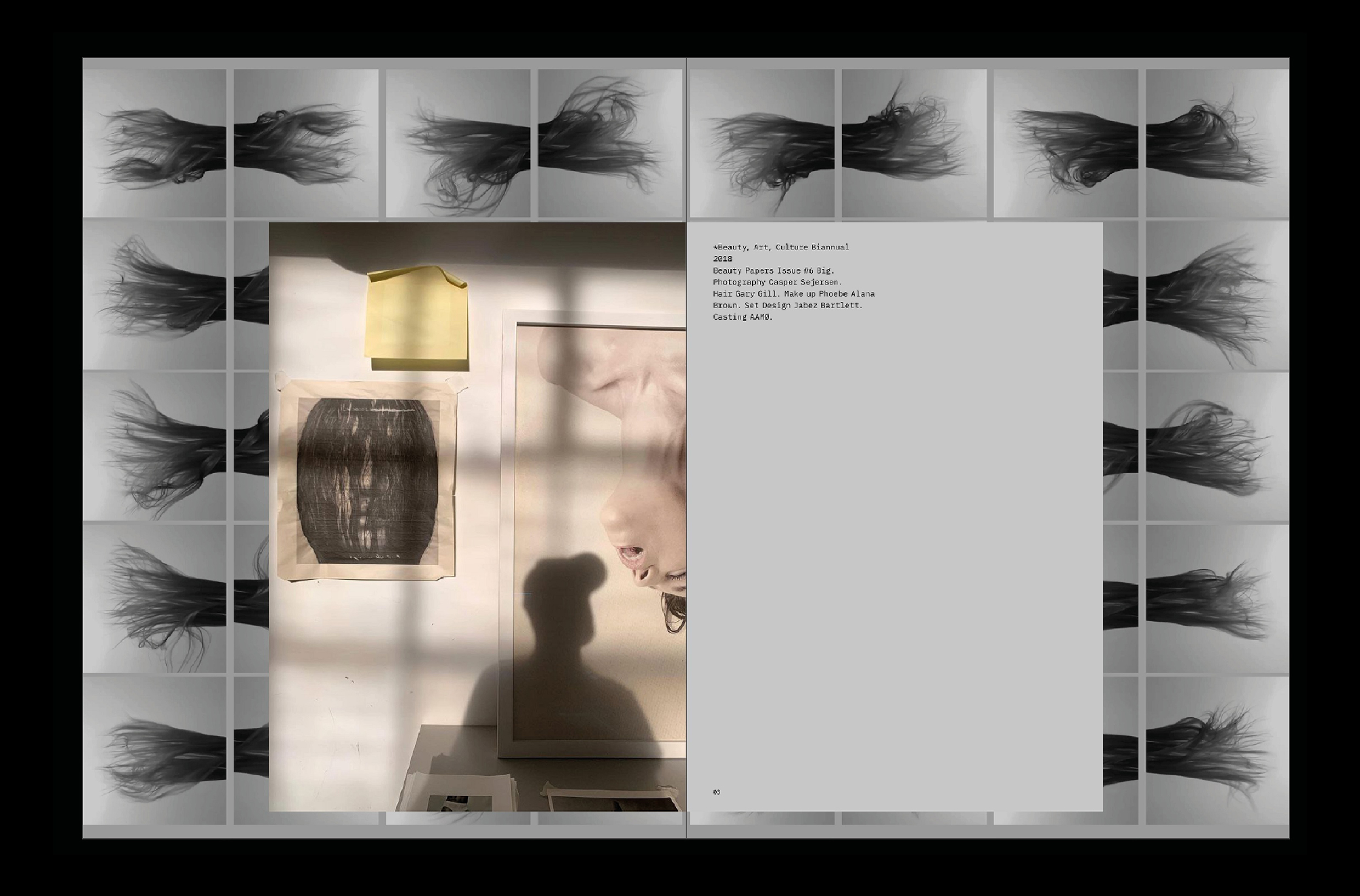 *METAMORPHOSIS. Каталог выставки Каспера Сейерсена — Изображение №23 — Графика на Dprofile