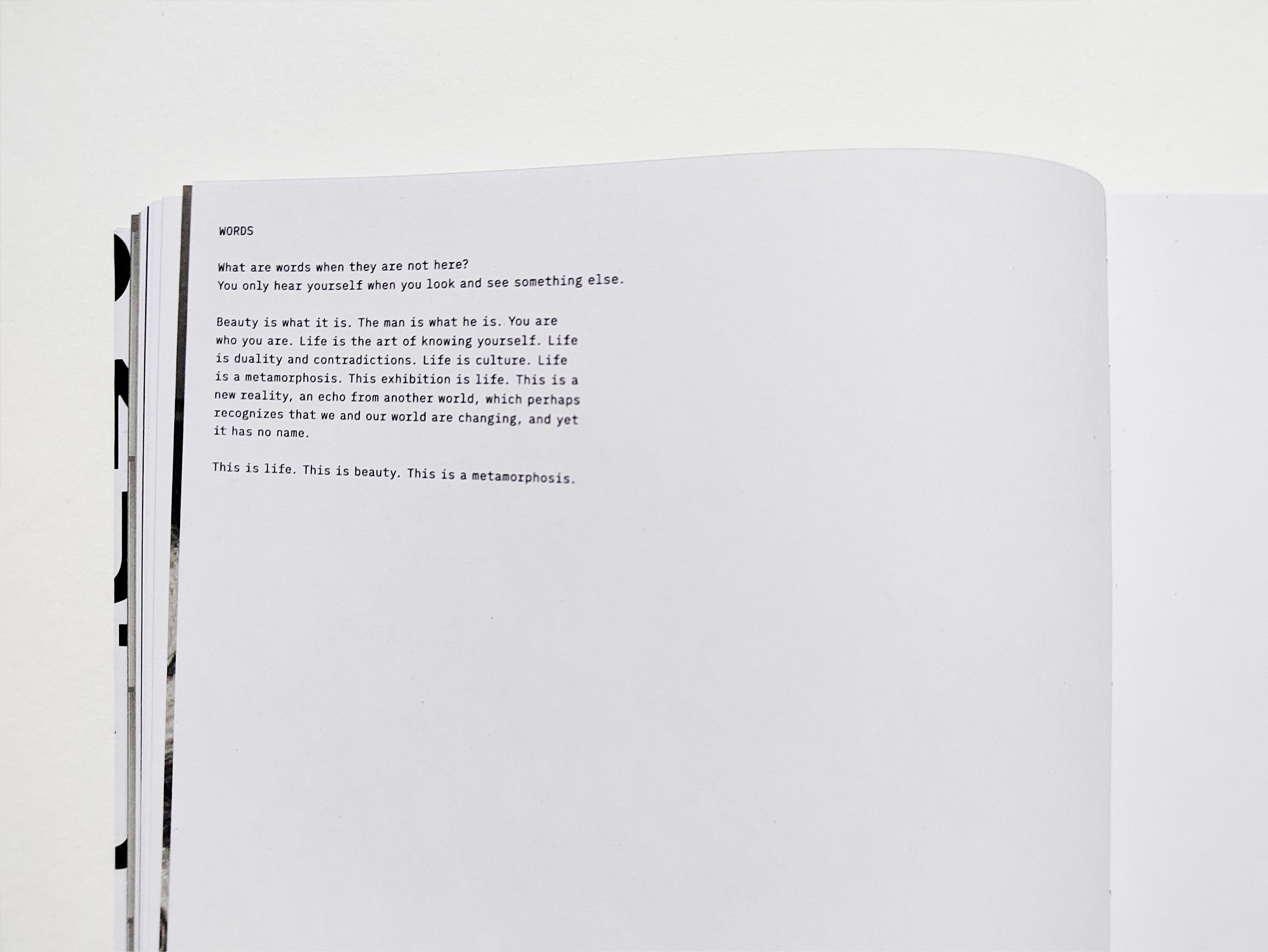 *METAMORPHOSIS. Каталог выставки Каспера Сейерсена — Изображение №47 — Графика на Dprofile