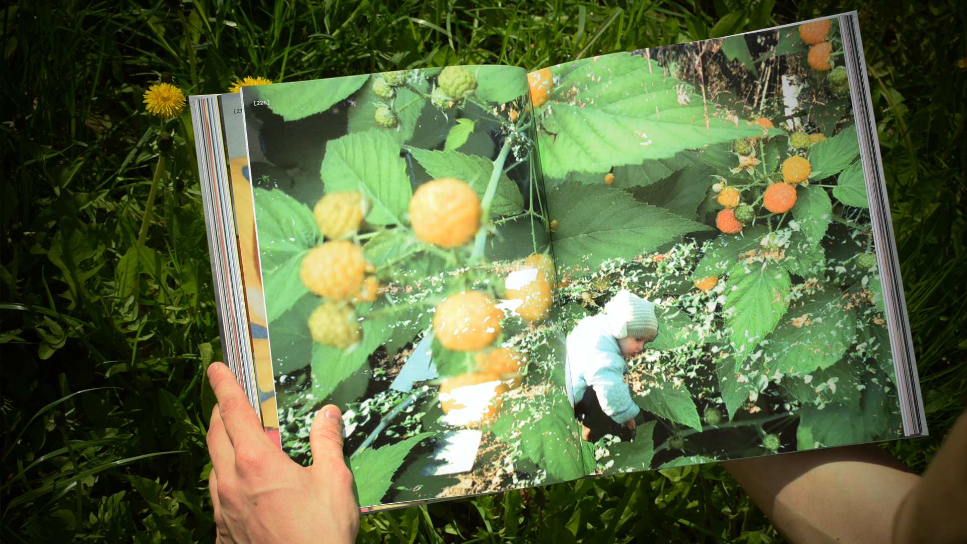 Настолько глубоко личное, что мне не следует смотреть — Изображение №25 — Графика на Dprofile