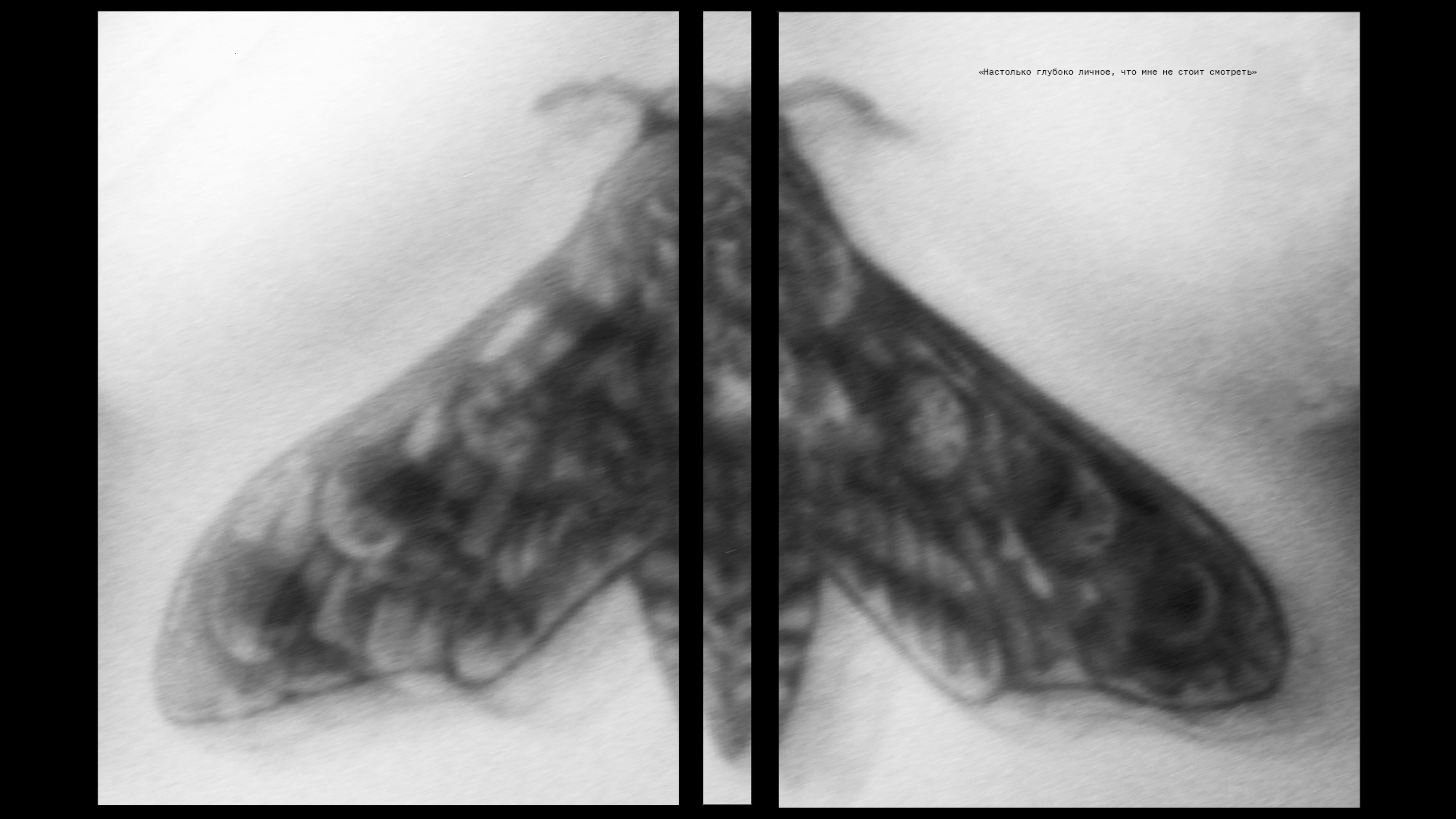 Настолько глубоко личное, что мне не следует смотреть — Изображение №2 — Графика на Dprofile
