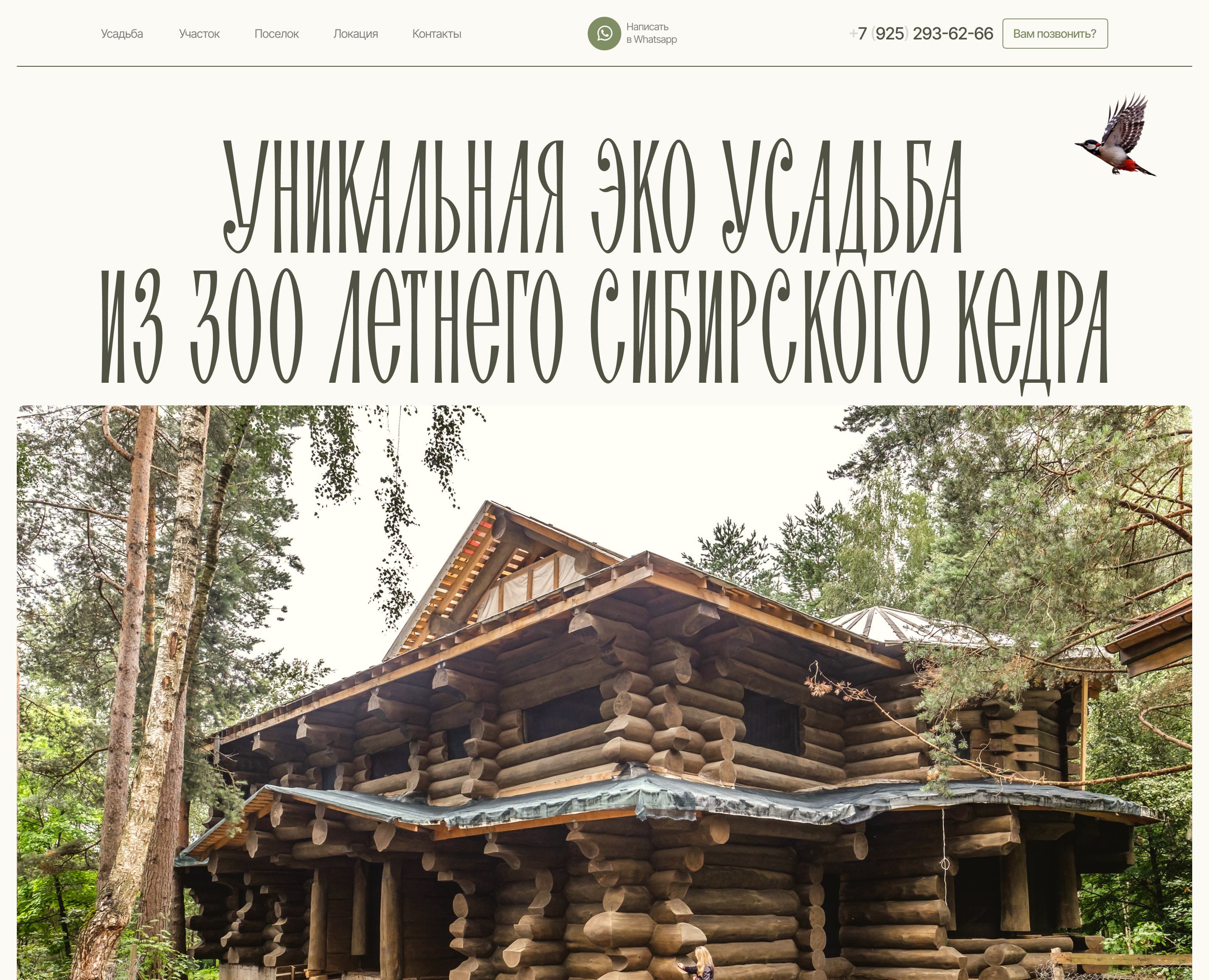 Дизайн сайта (лендинга) для продажи загородного дома на Dprofile