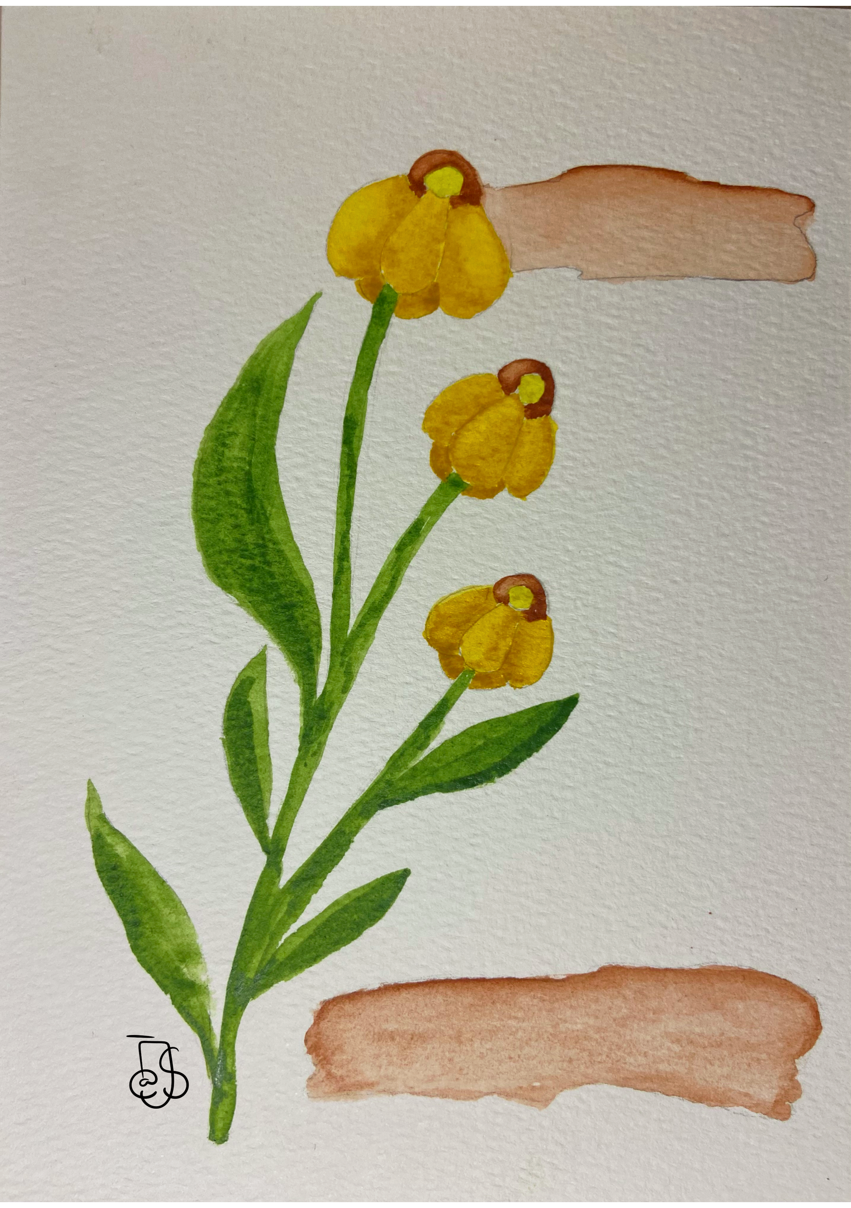 Watercolor Flowers | Traditional Art — Изображение №3 — Иллюстрация на Dprofile