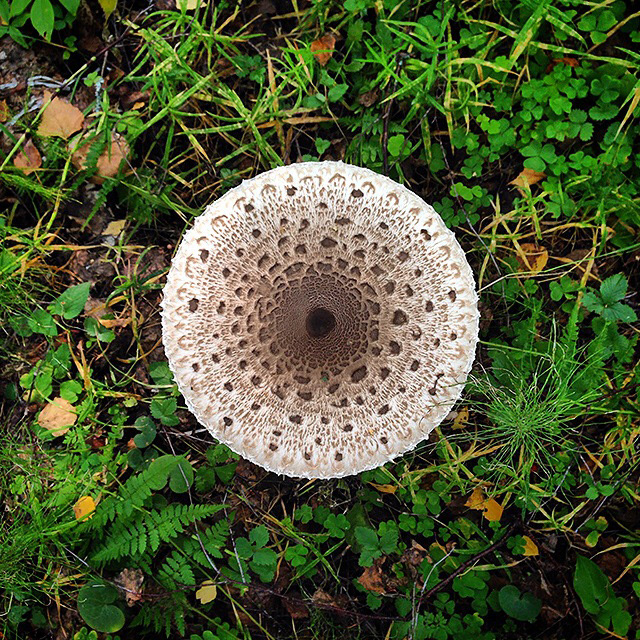 Spaceoflife. Instagram project — Изображение №31 — Маркетинг на Dprofile