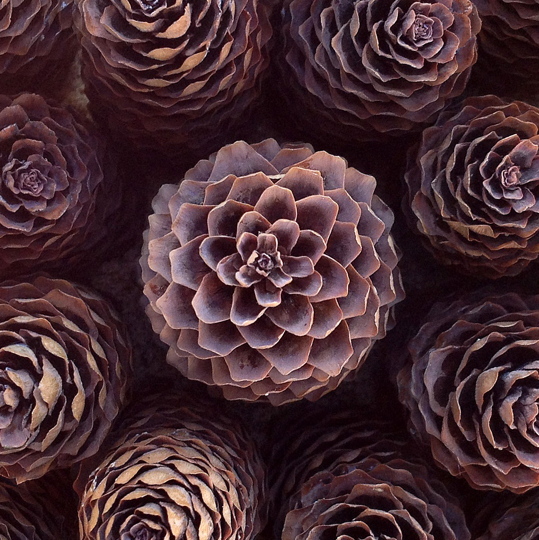 Spaceoflife. Instagram project — Изображение №18 — Маркетинг на Dprofile