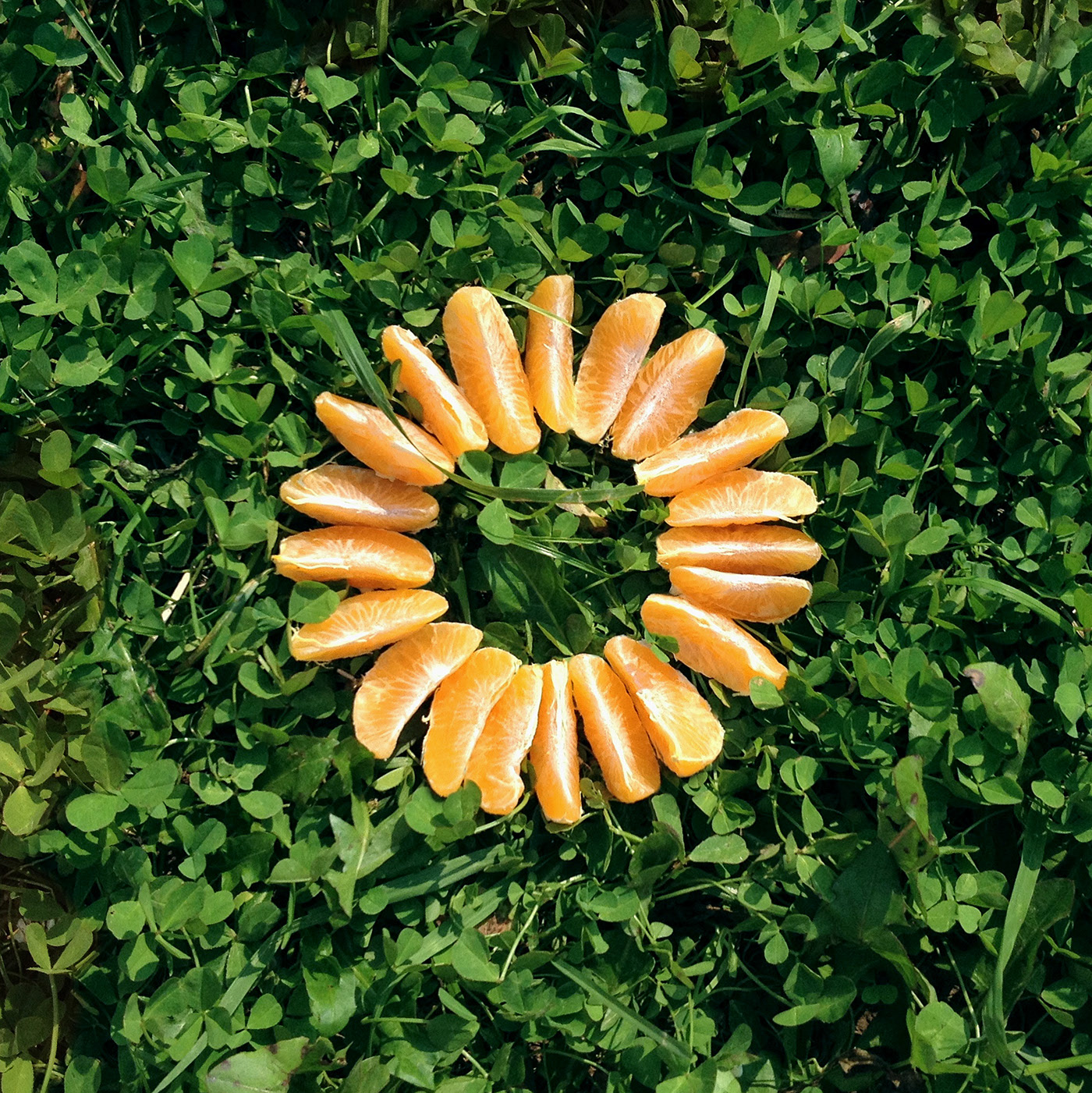 Spaceoflife. Instagram project — Изображение №22 — Маркетинг на Dprofile