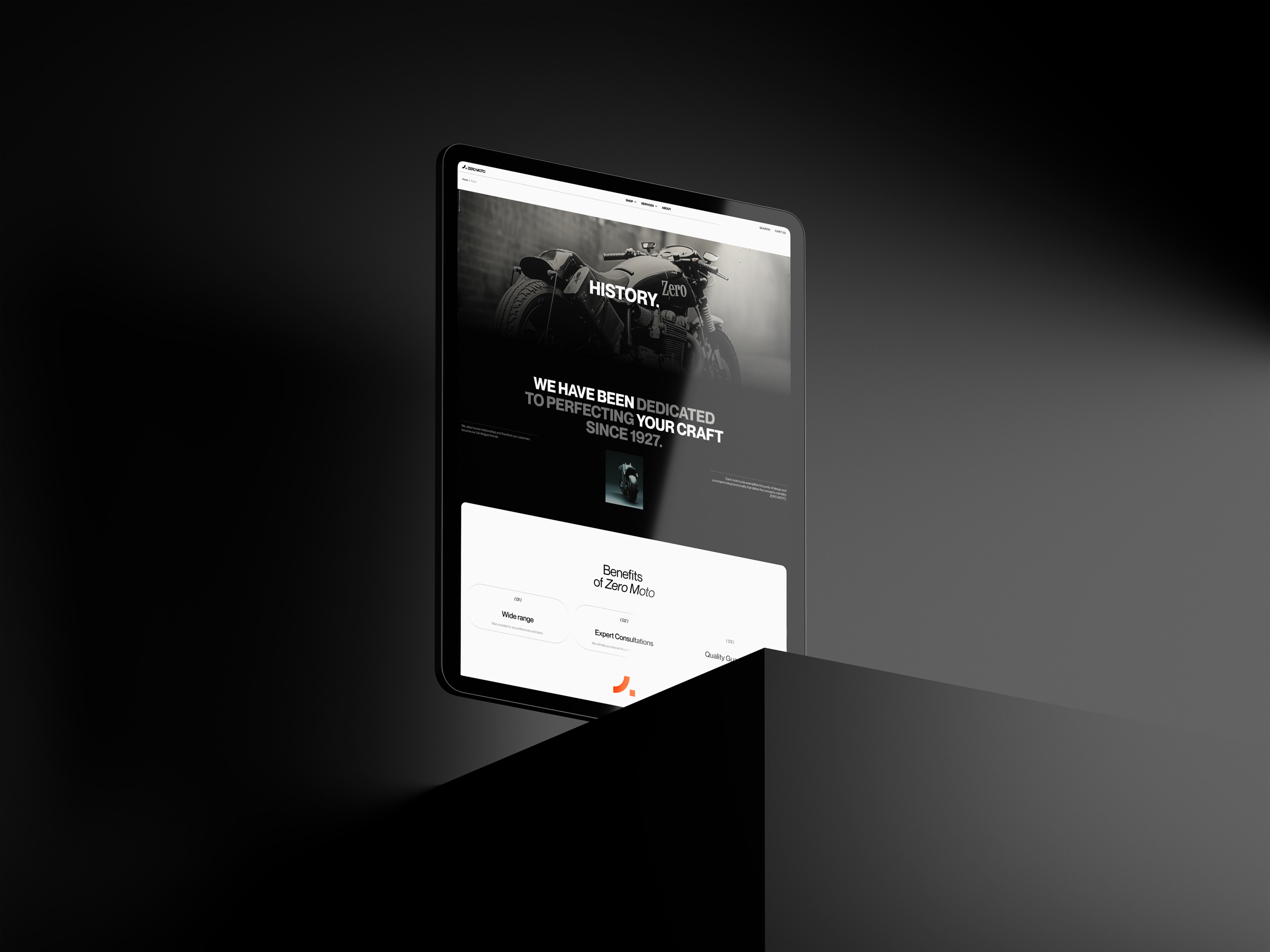 ZERO MOTO — Изображение №19 — Интерфейсы, Брендинг на Dprofile