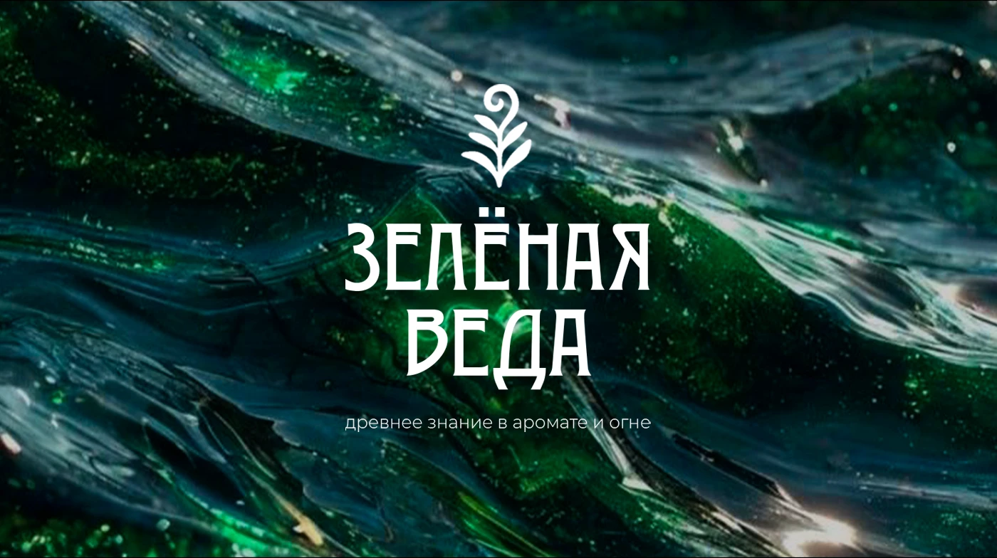 Зелёная Веда — Концепция упаковки и образ бренда — Изображение №3 — Интерфейсы, Брендинг на Dprofile